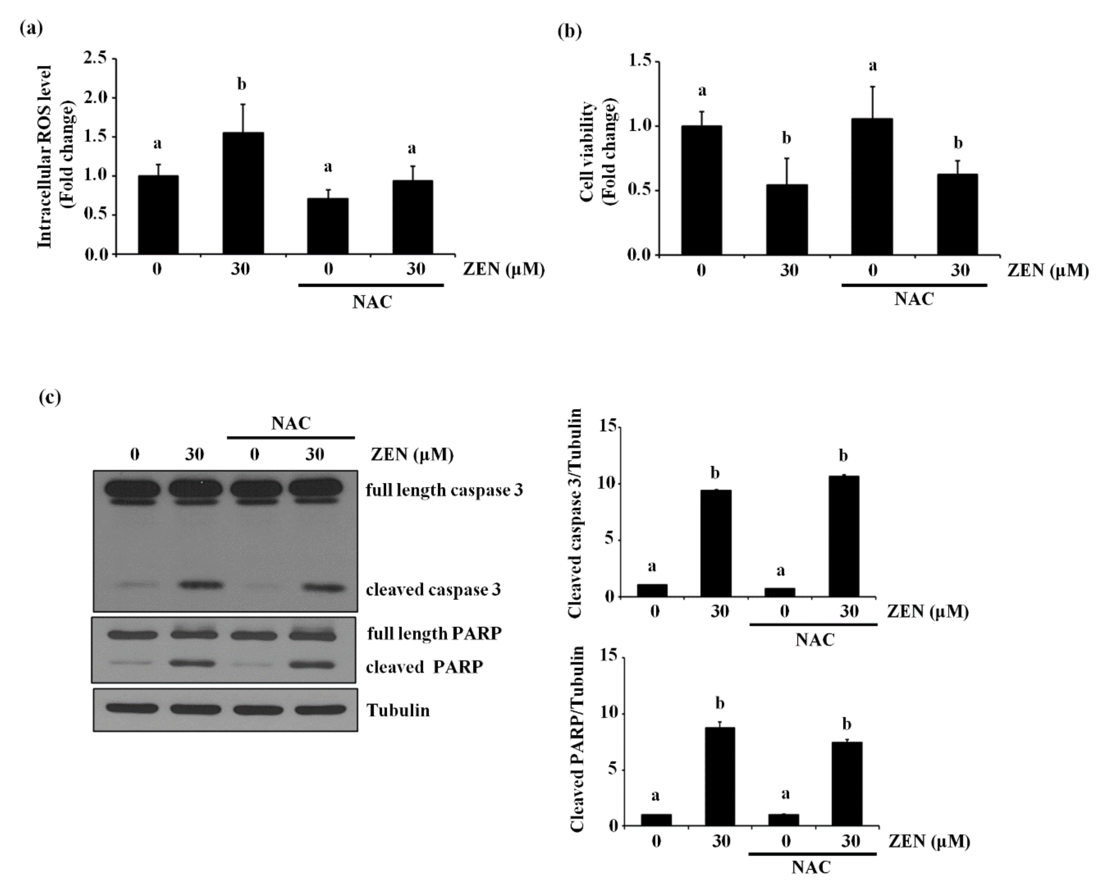 Toxins 13 00187 g006