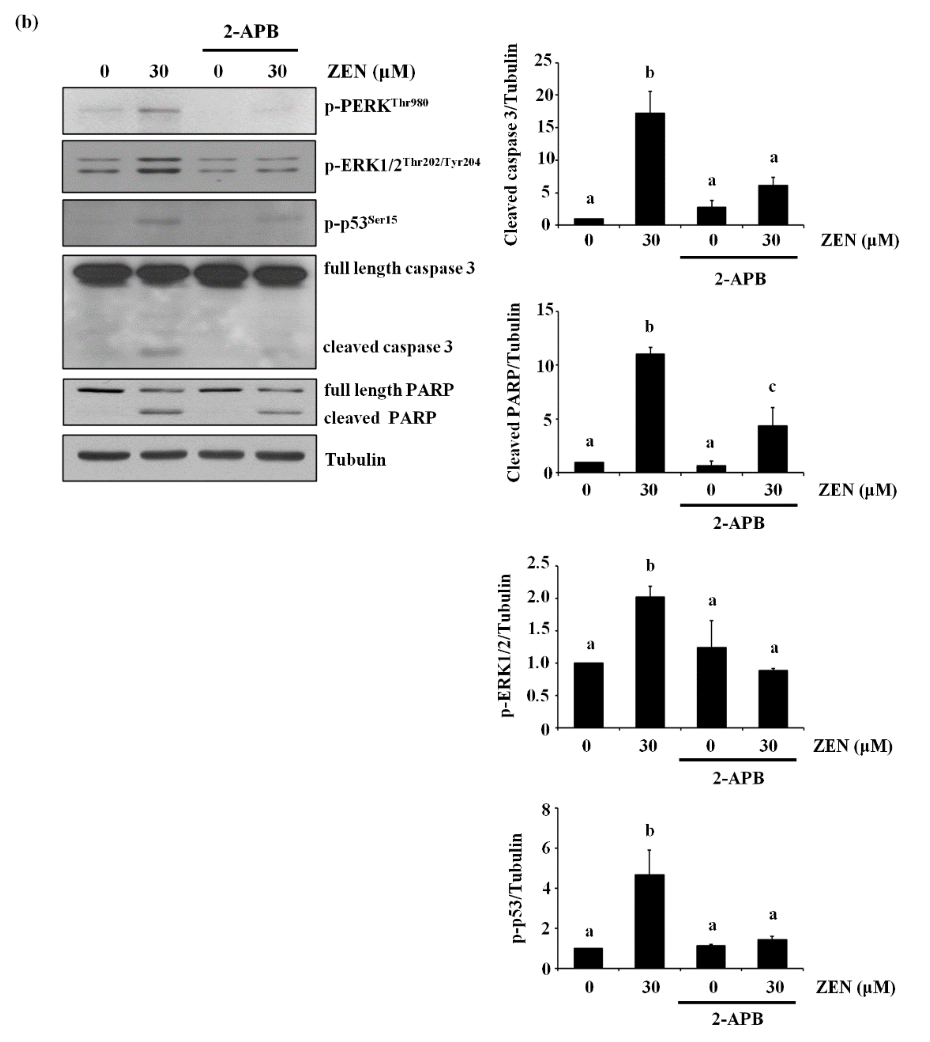 Toxins 13 00187 g008b