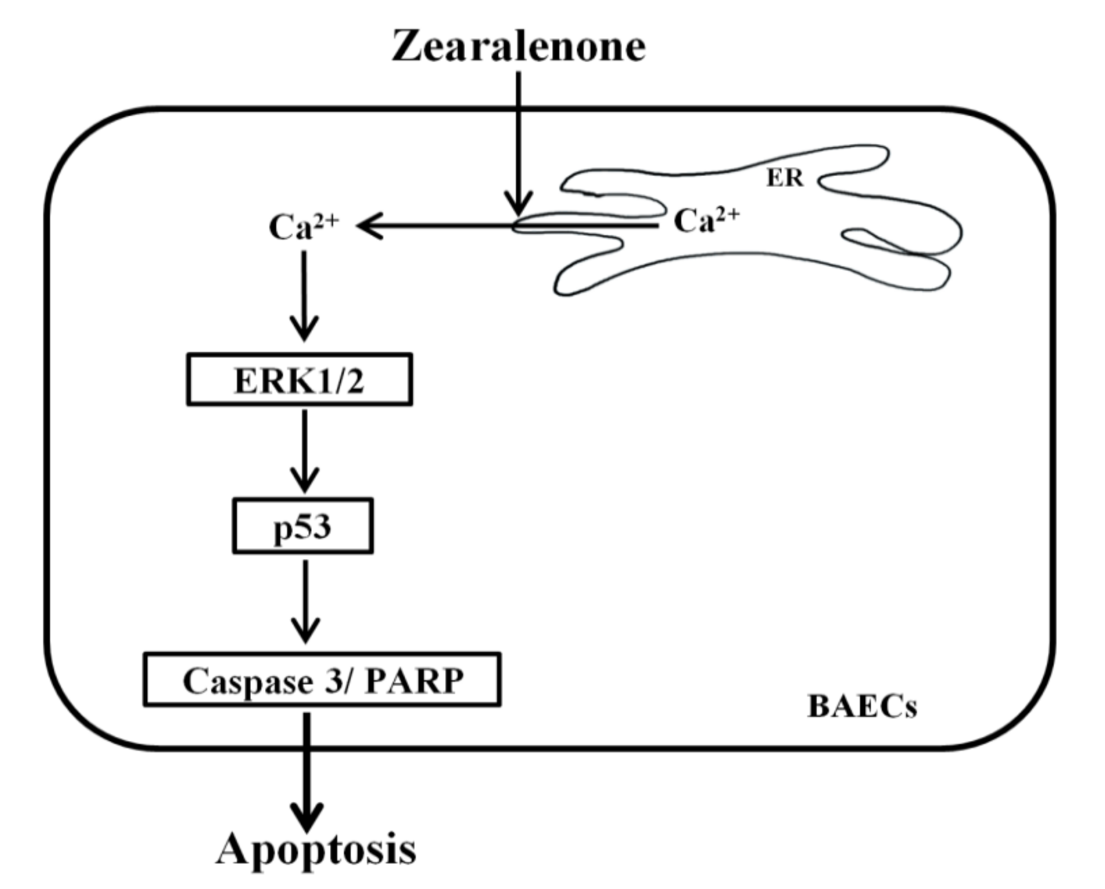 Toxins 13 00187 g009