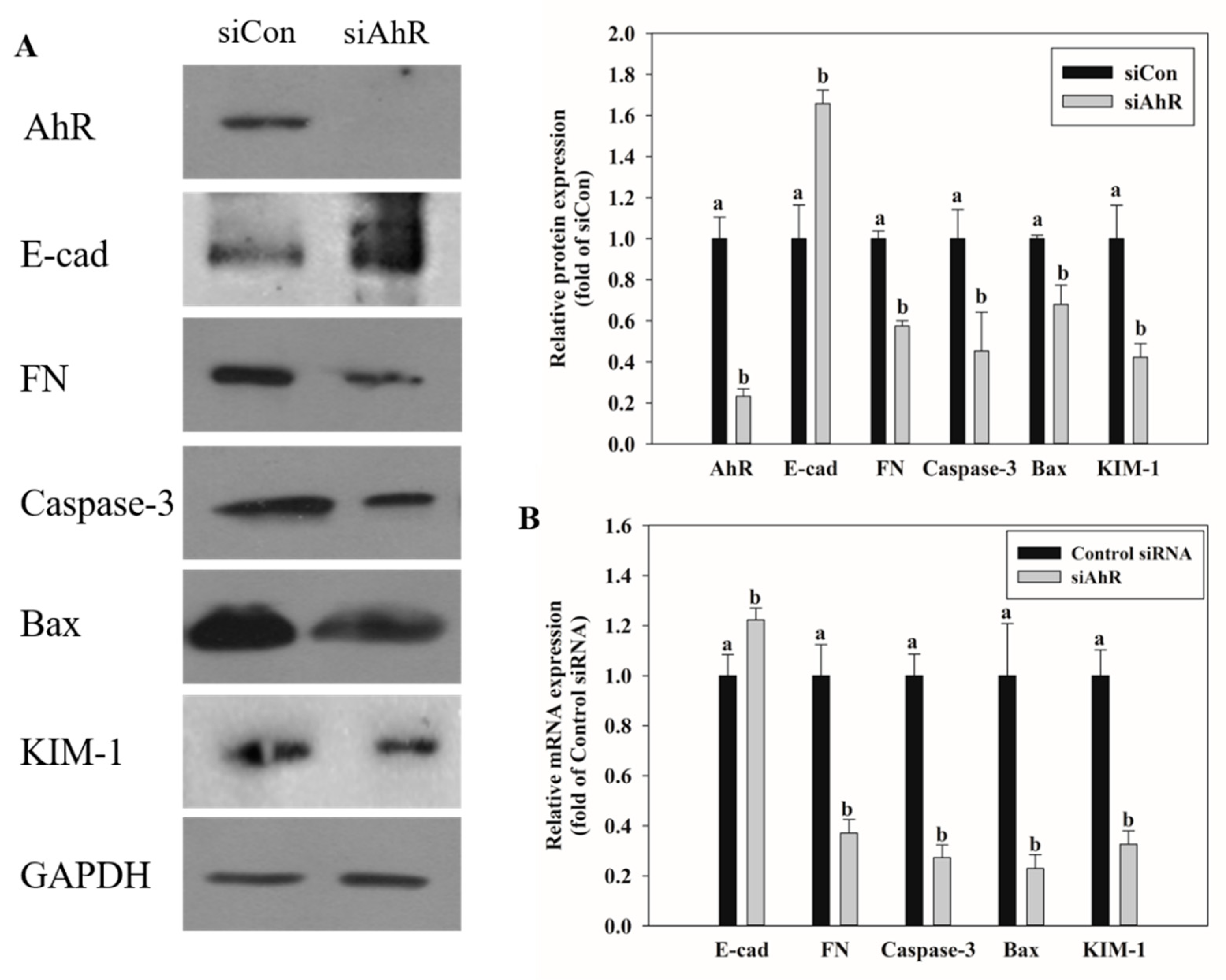 Toxins 13 00190 g005