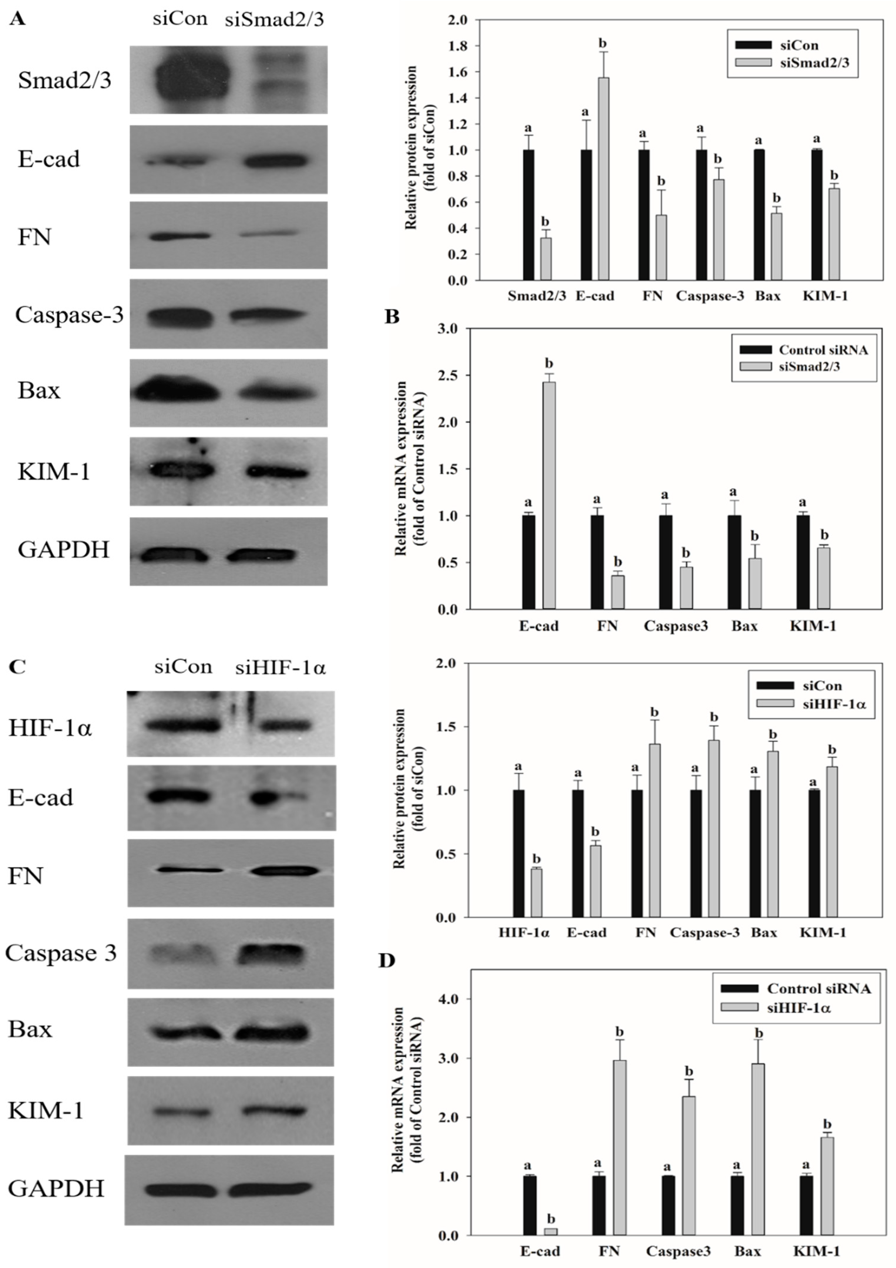 Toxins 13 00190 g007