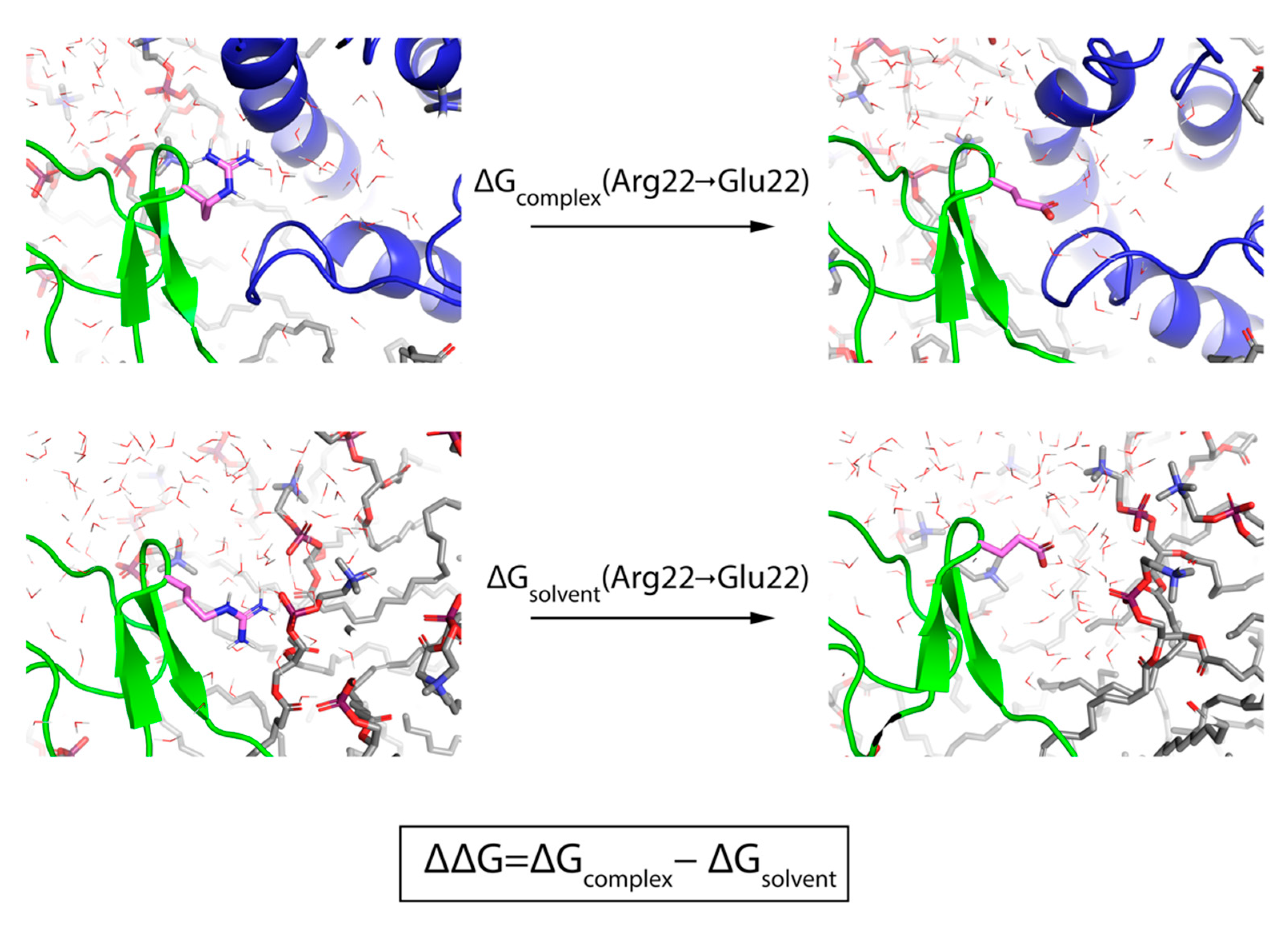 Toxins 13 00193 g002
