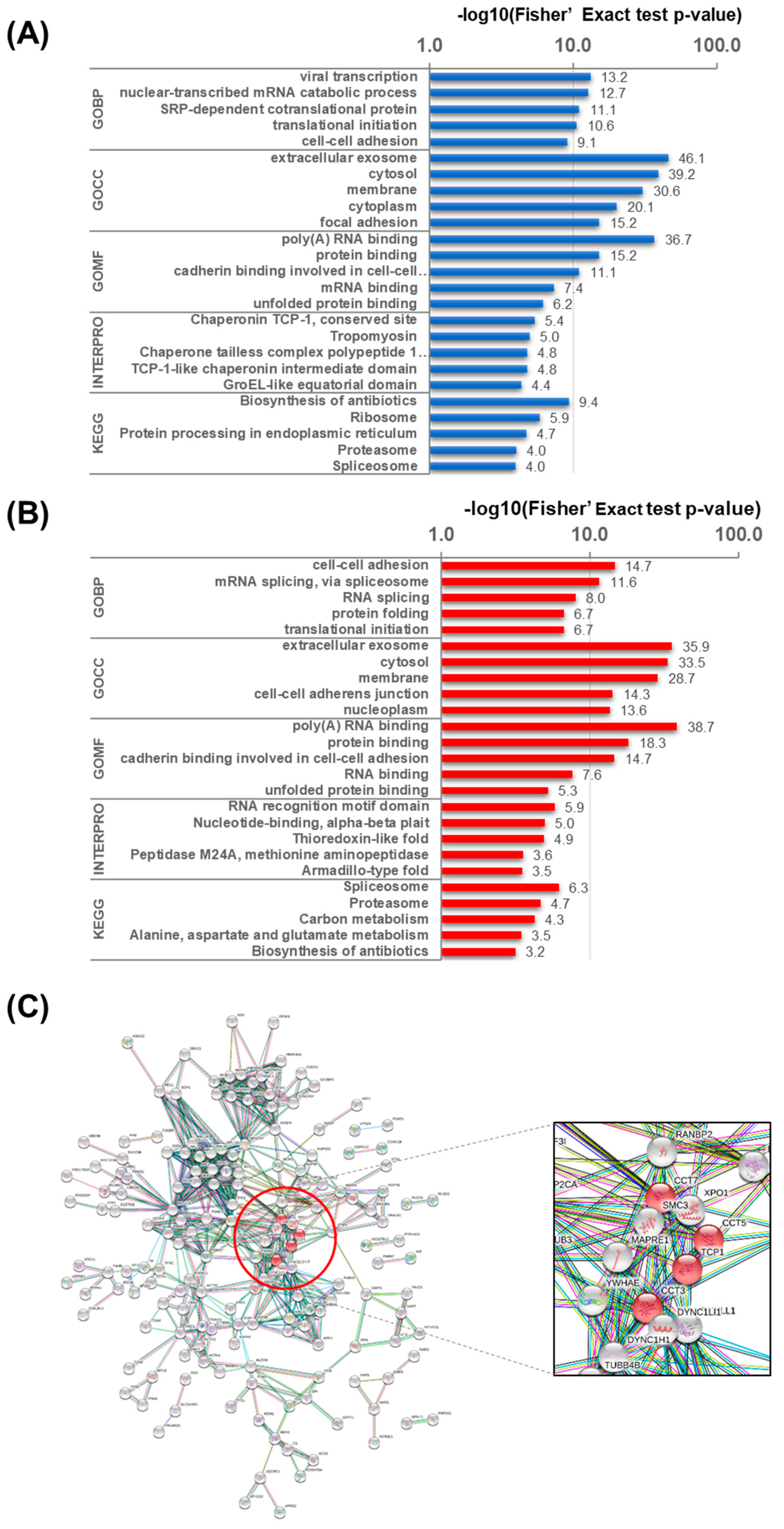 Toxins 13 00197 g002