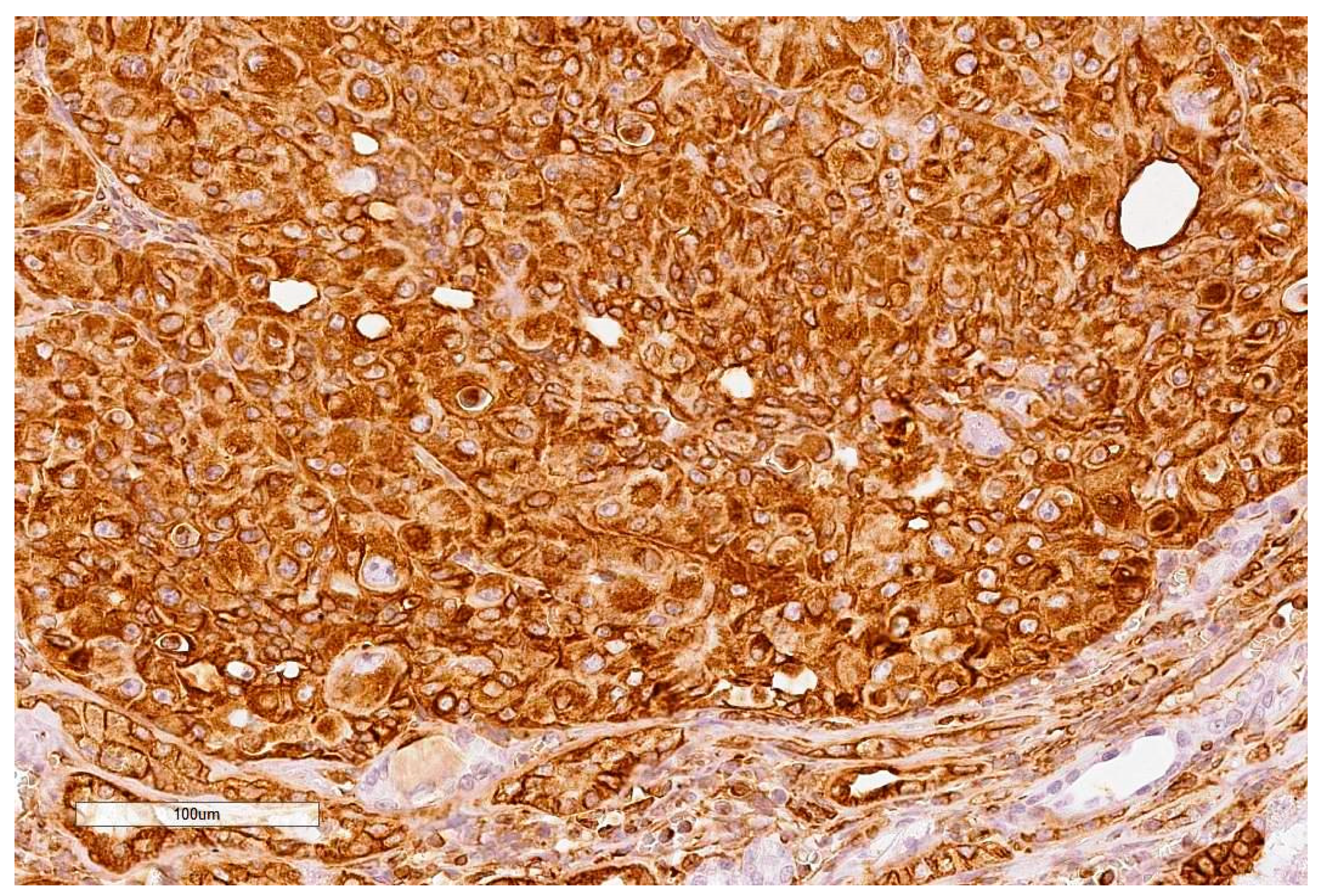 Toxins 13 00205 g003 Toxins 13 00205 g003