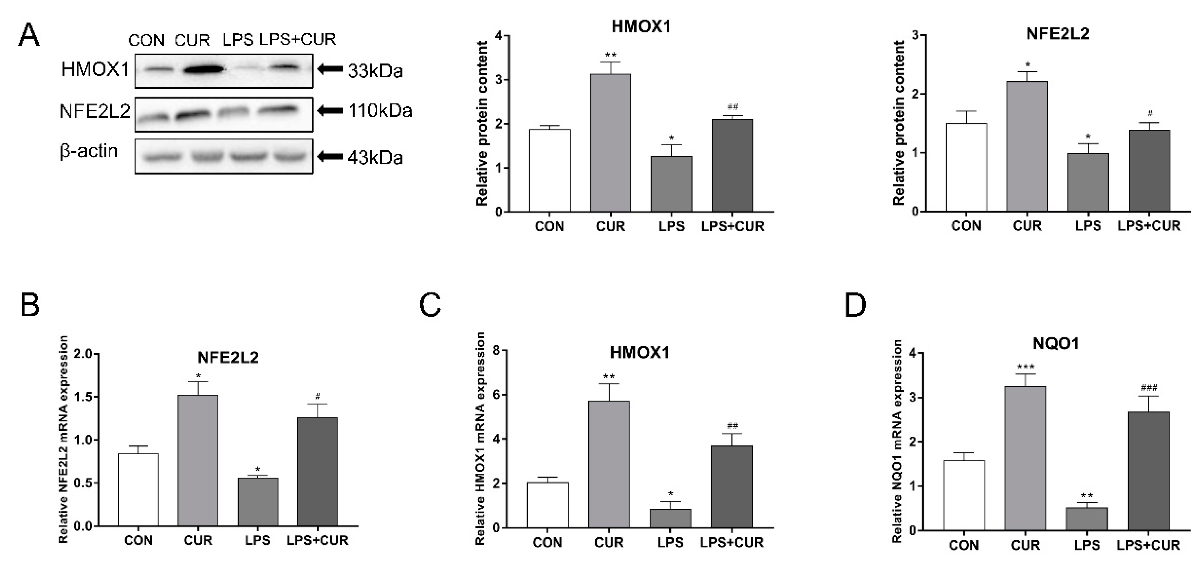 Toxins 13 00208 g003