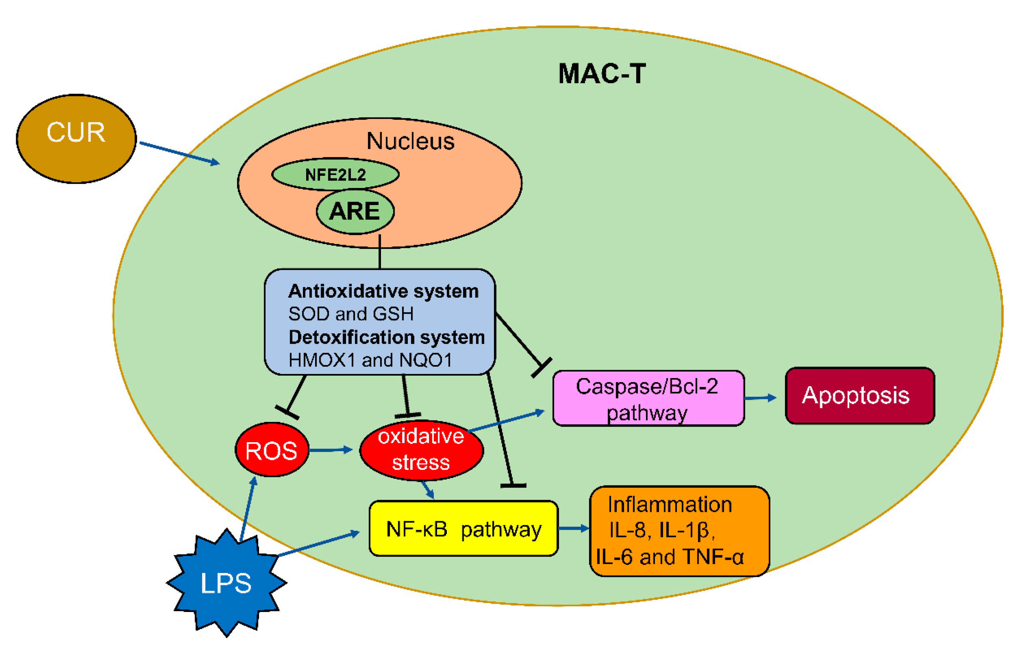 Toxins 13 00208 g007