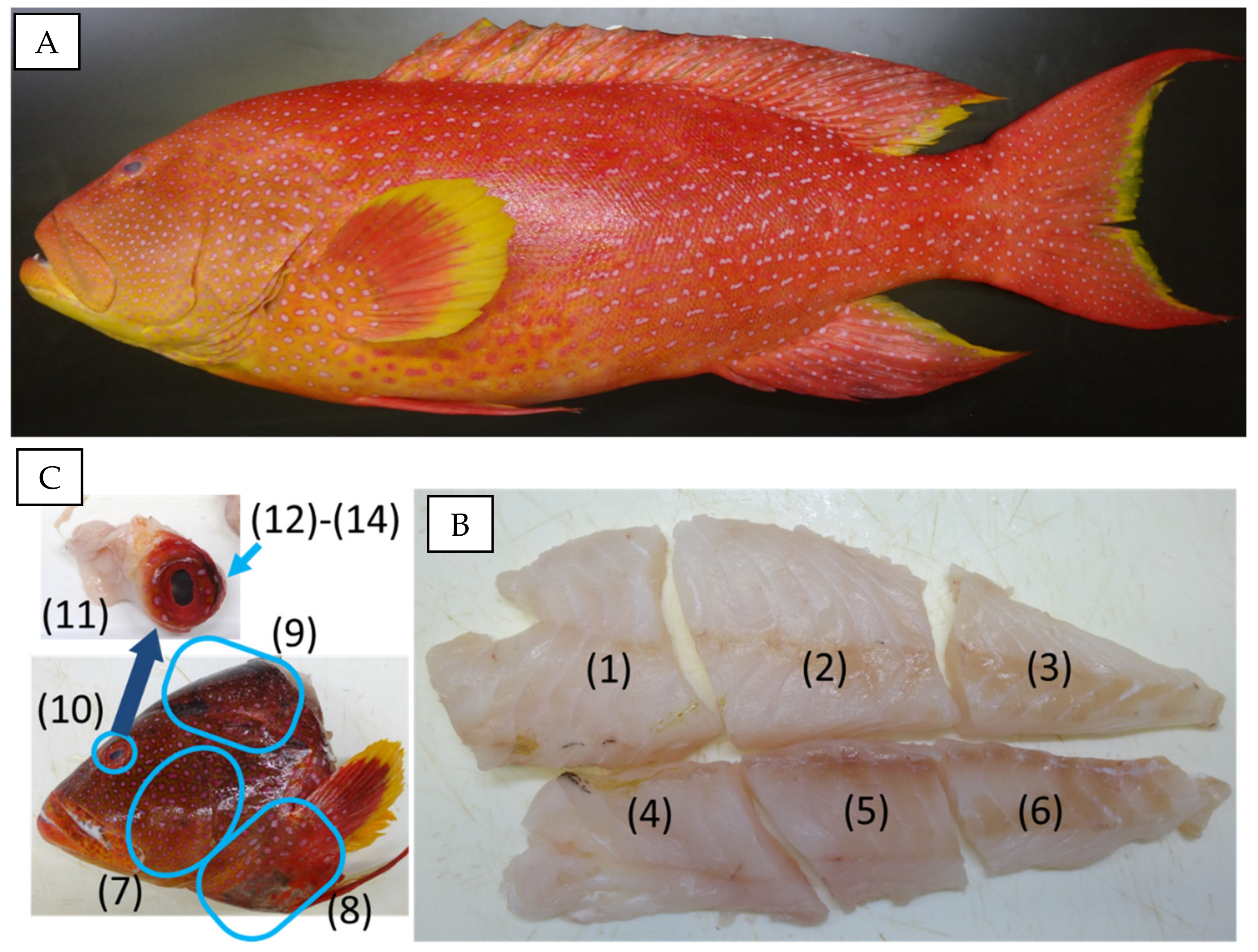 Toxins 13 00218 g002