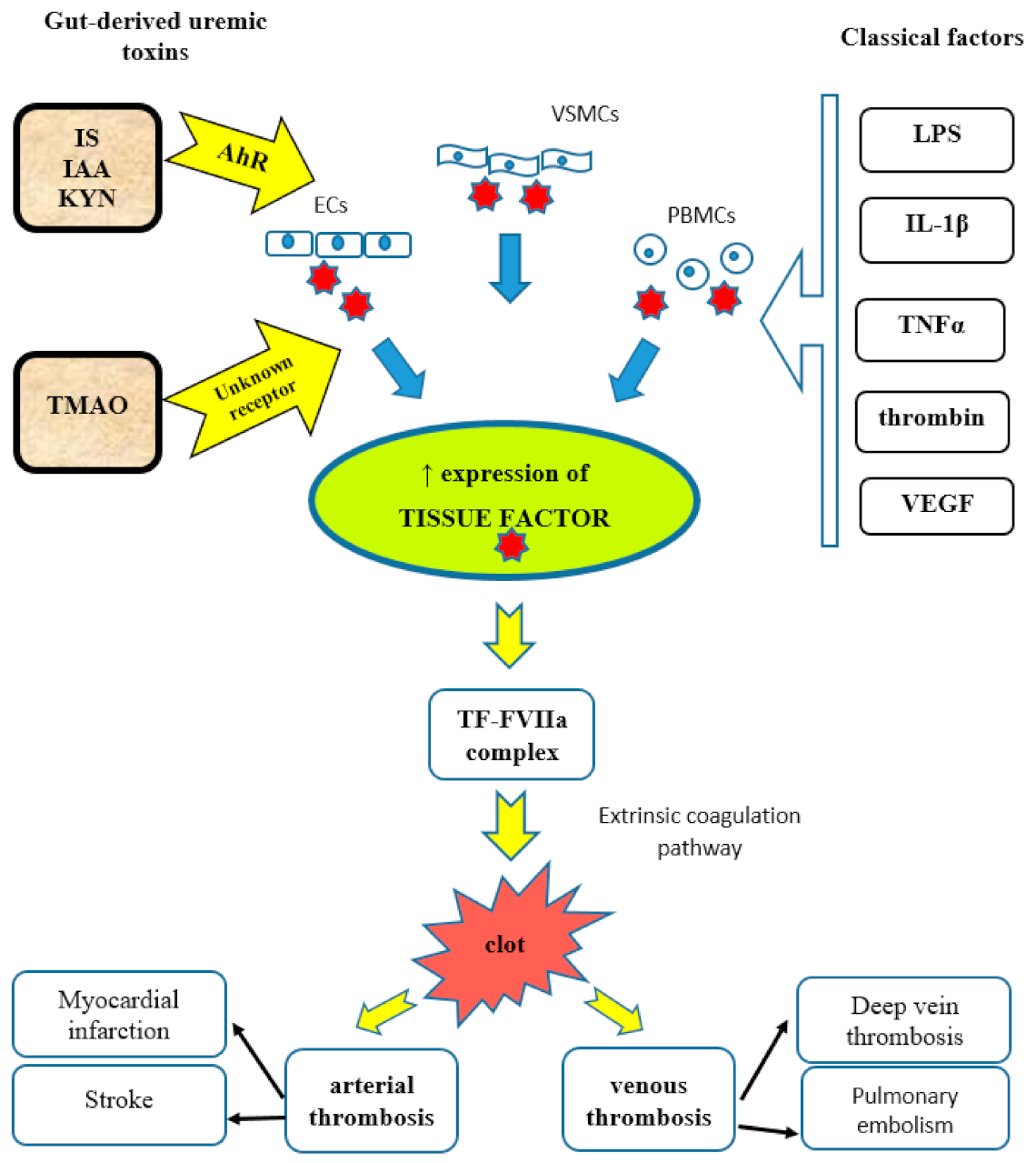 Toxins 13 00223 g001