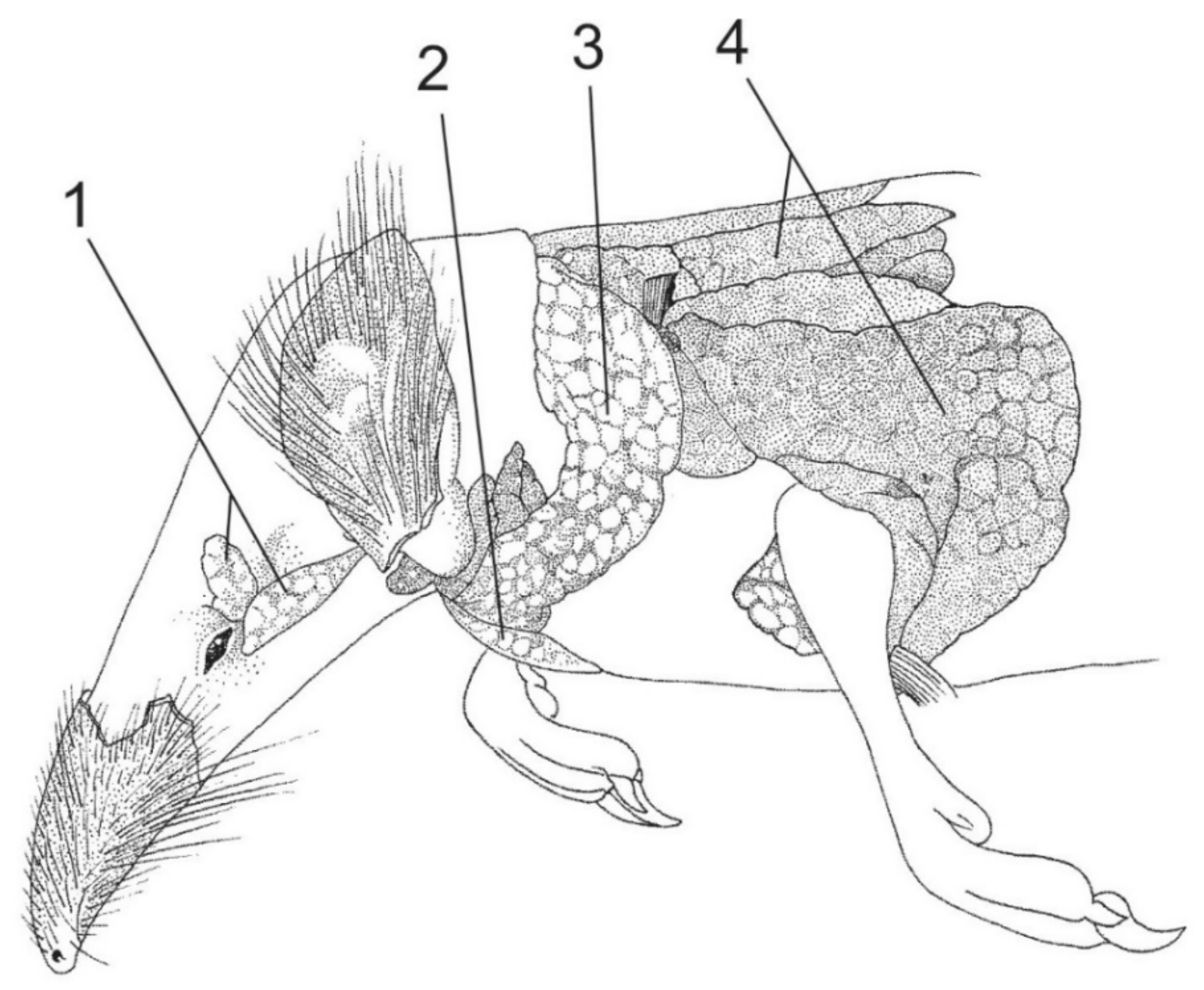 Toxins 13 00231 g003 Toxins 13 00231 g003