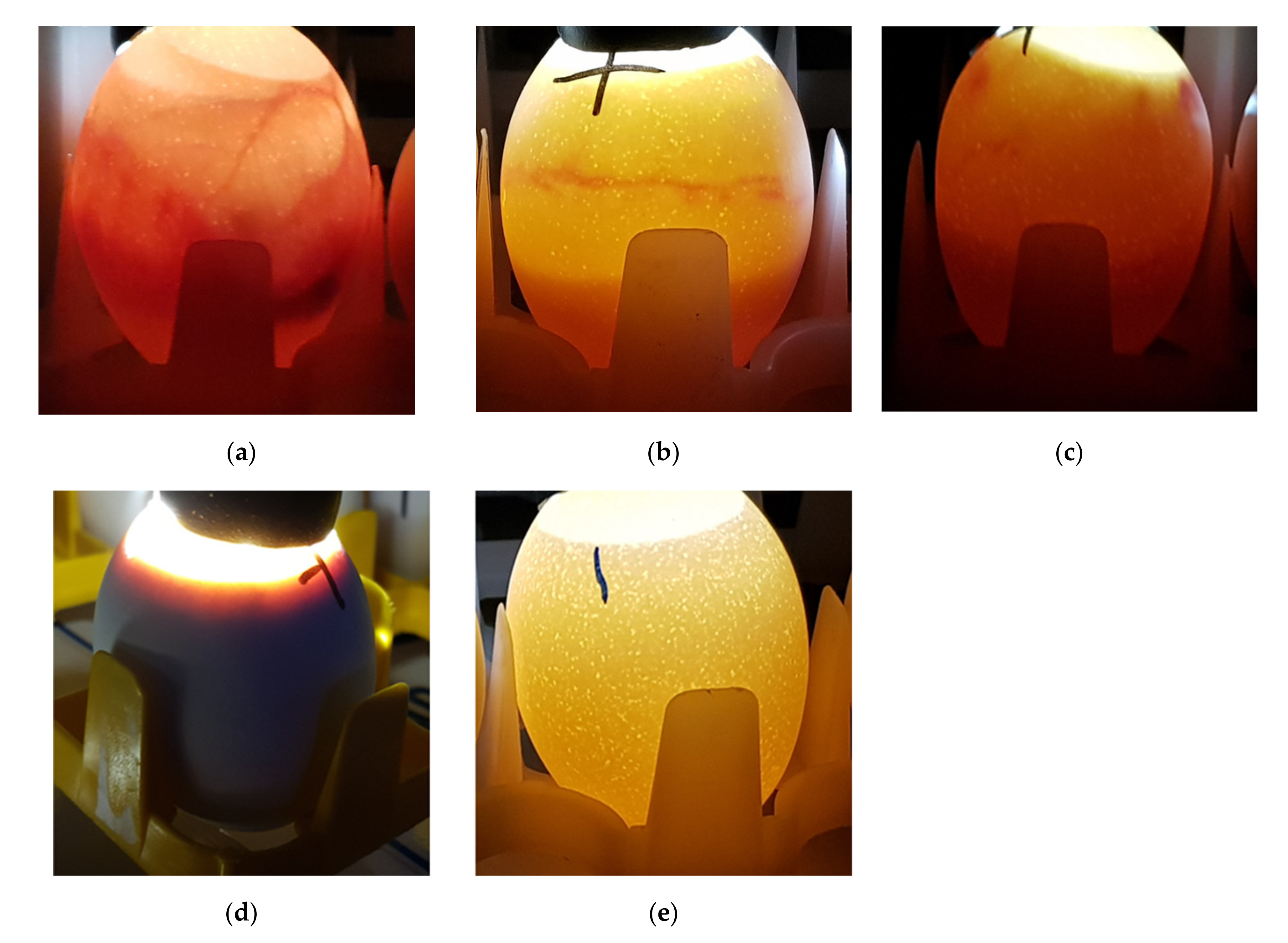 Toxins 13 00233 g001 Toxins 13 00233 g001