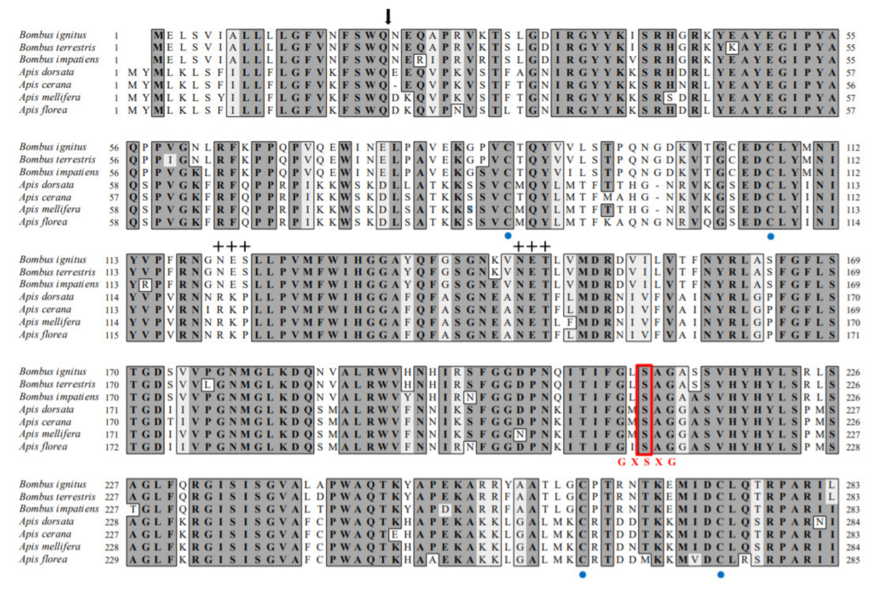 Toxins 13 00239 g001a