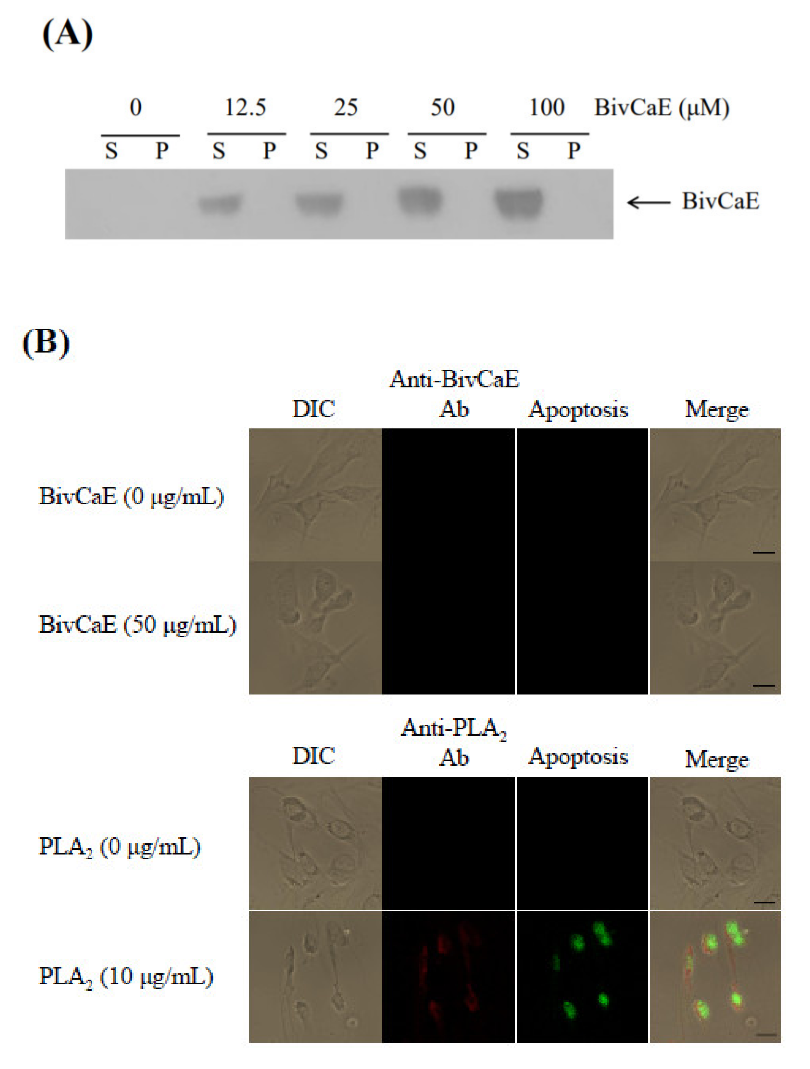 Toxins 13 00239 g006