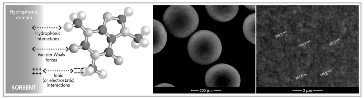 Toxins 13 00246 g002