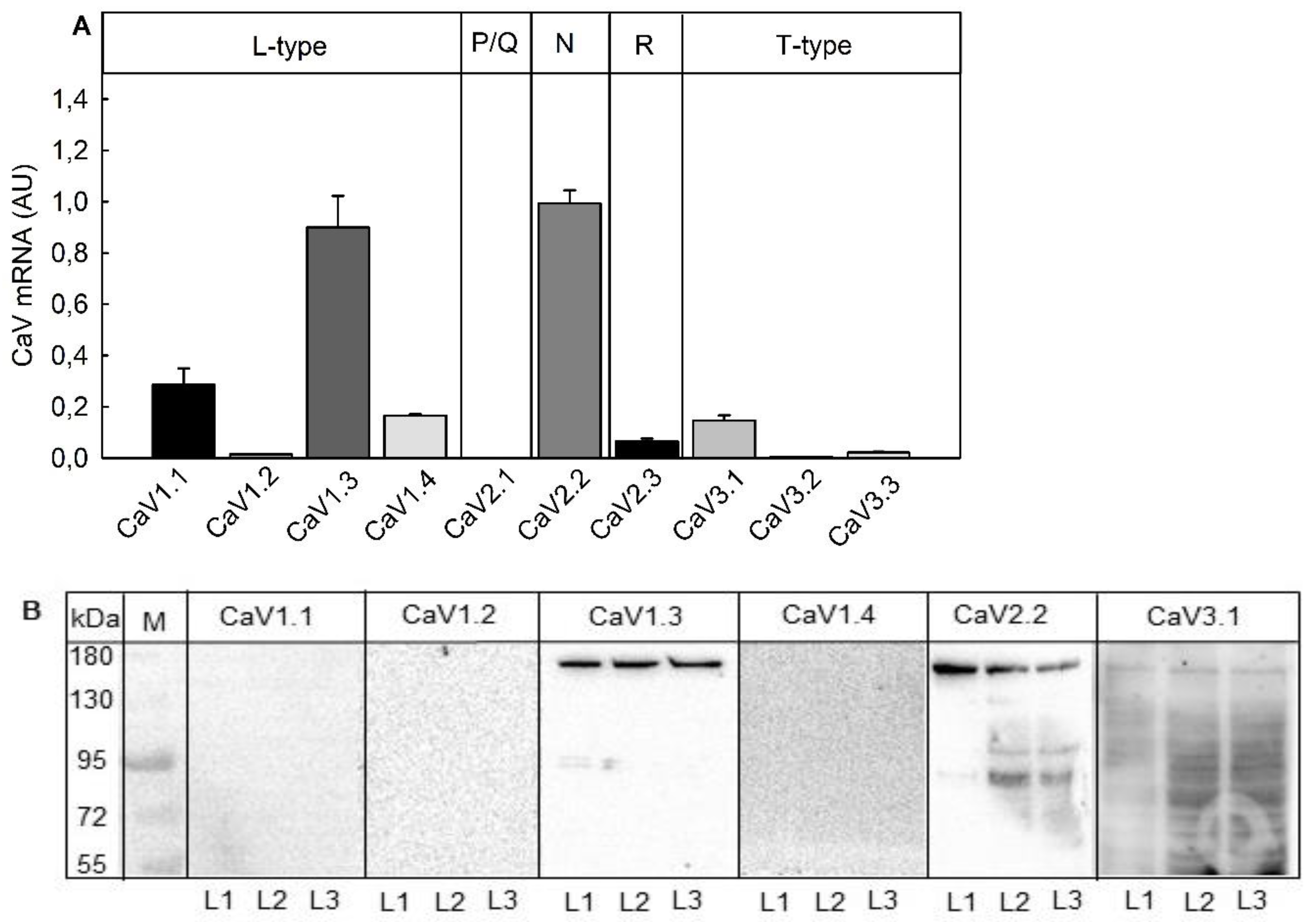 Toxins 13 00247 g003 Toxins 13 00247 g003
