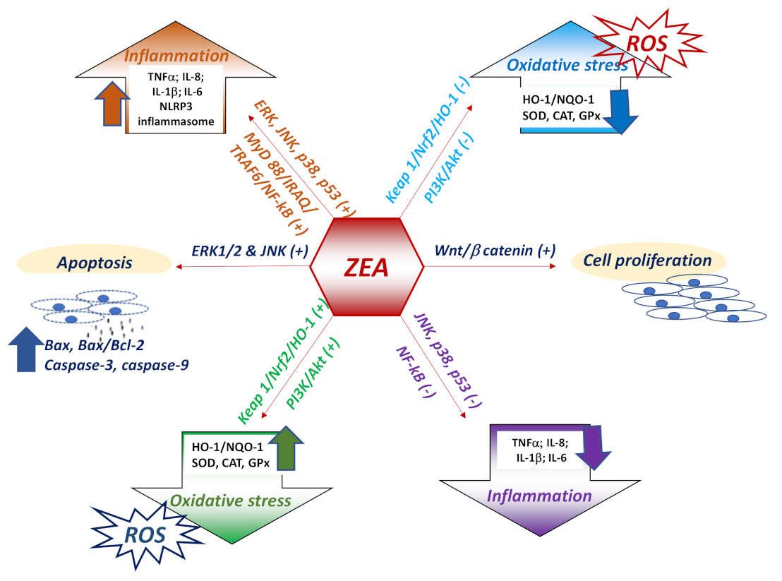 Toxins 13 00248 g002
