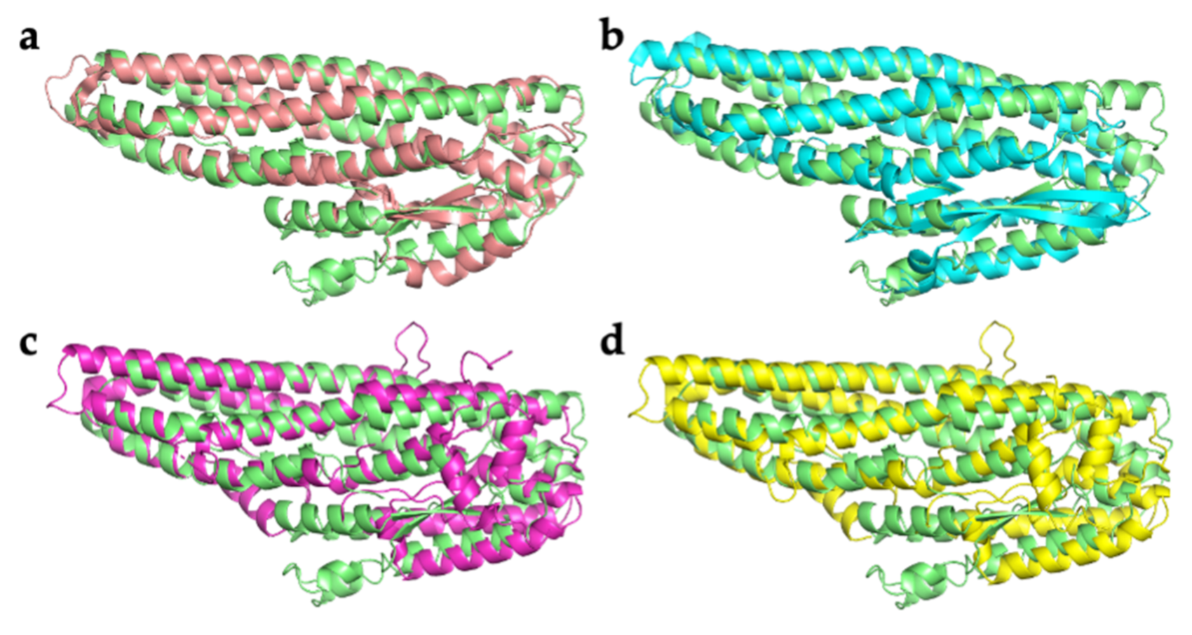 Toxins 13 00253 g002 Toxins 13 00253 g002