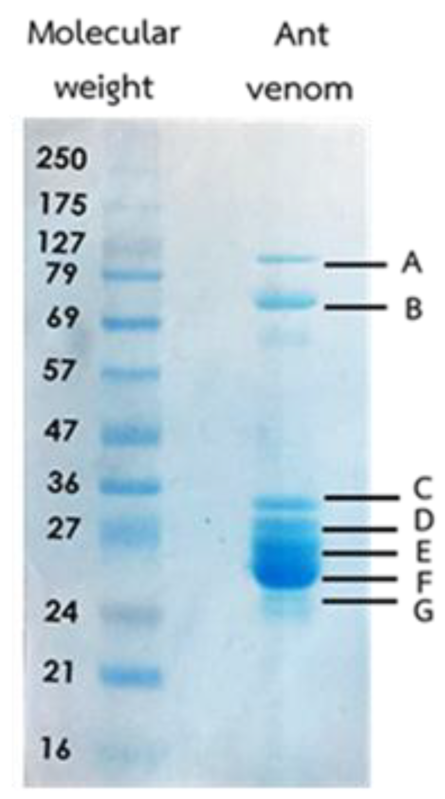 Toxins 13 00257 g002