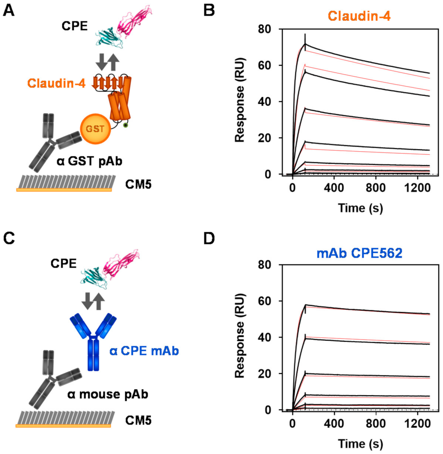 Toxins 13 00266 g001