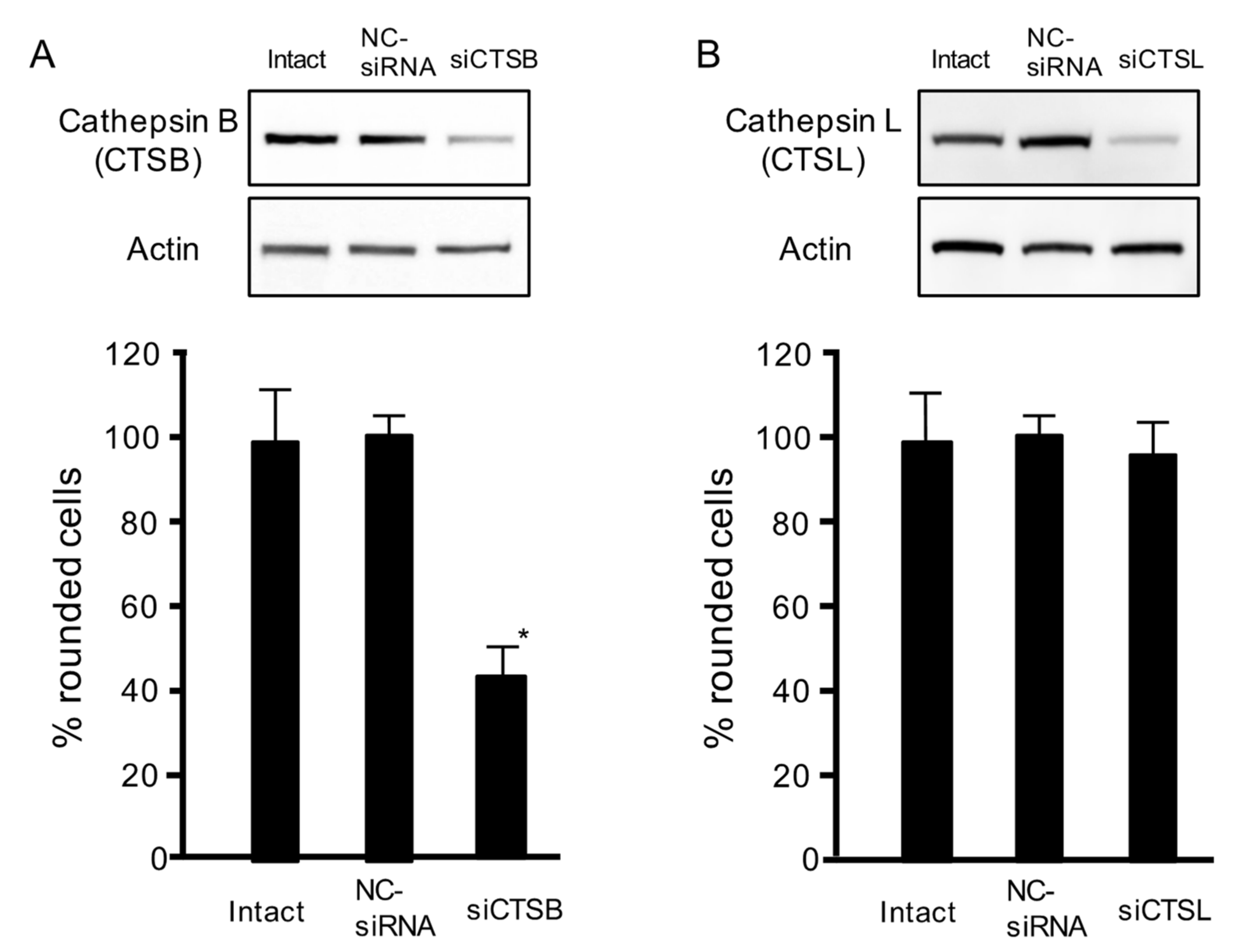 Toxins 13 00272 g003