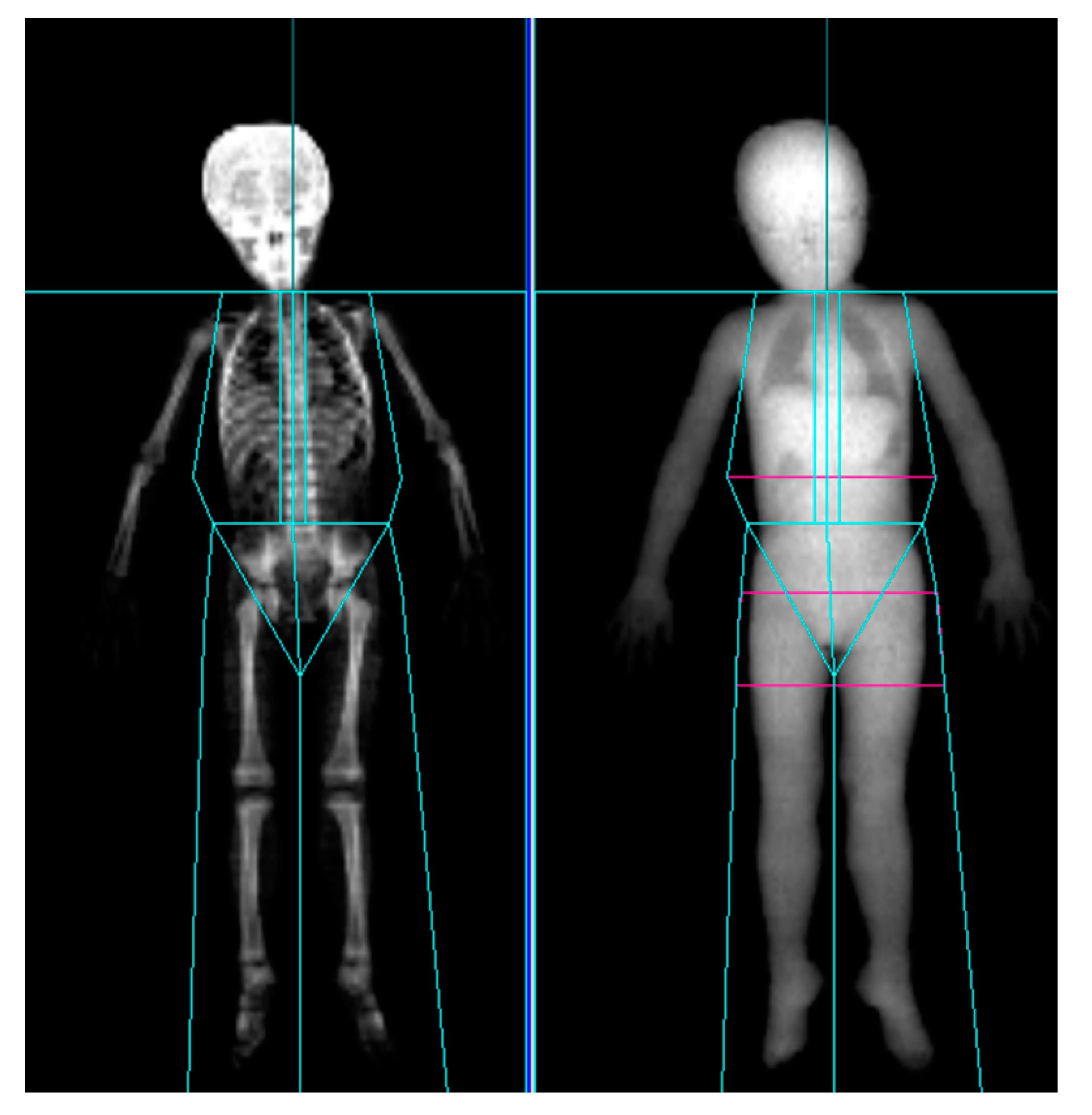 Toxins 13 00278 g002