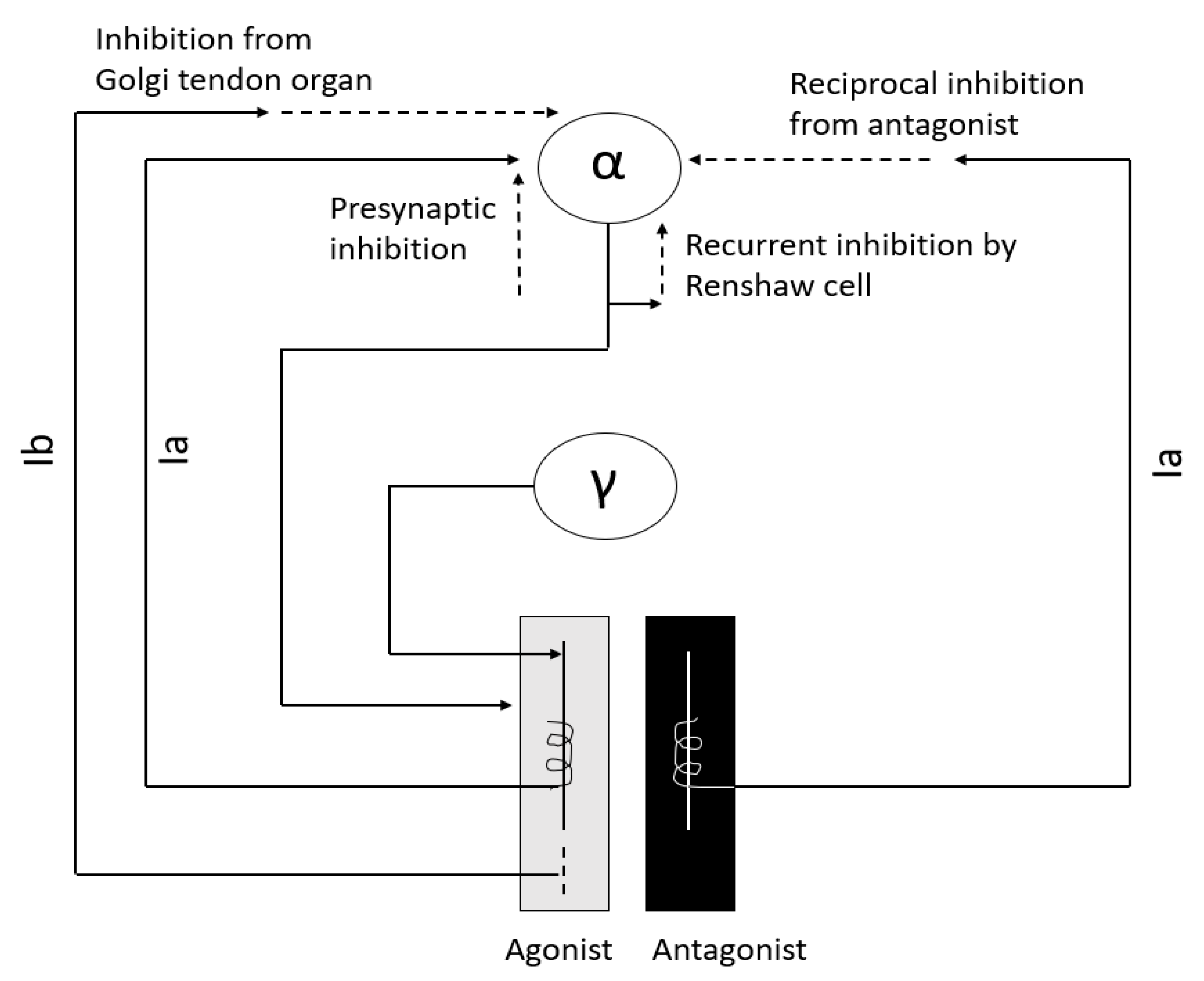 Toxins 13 00282 g001