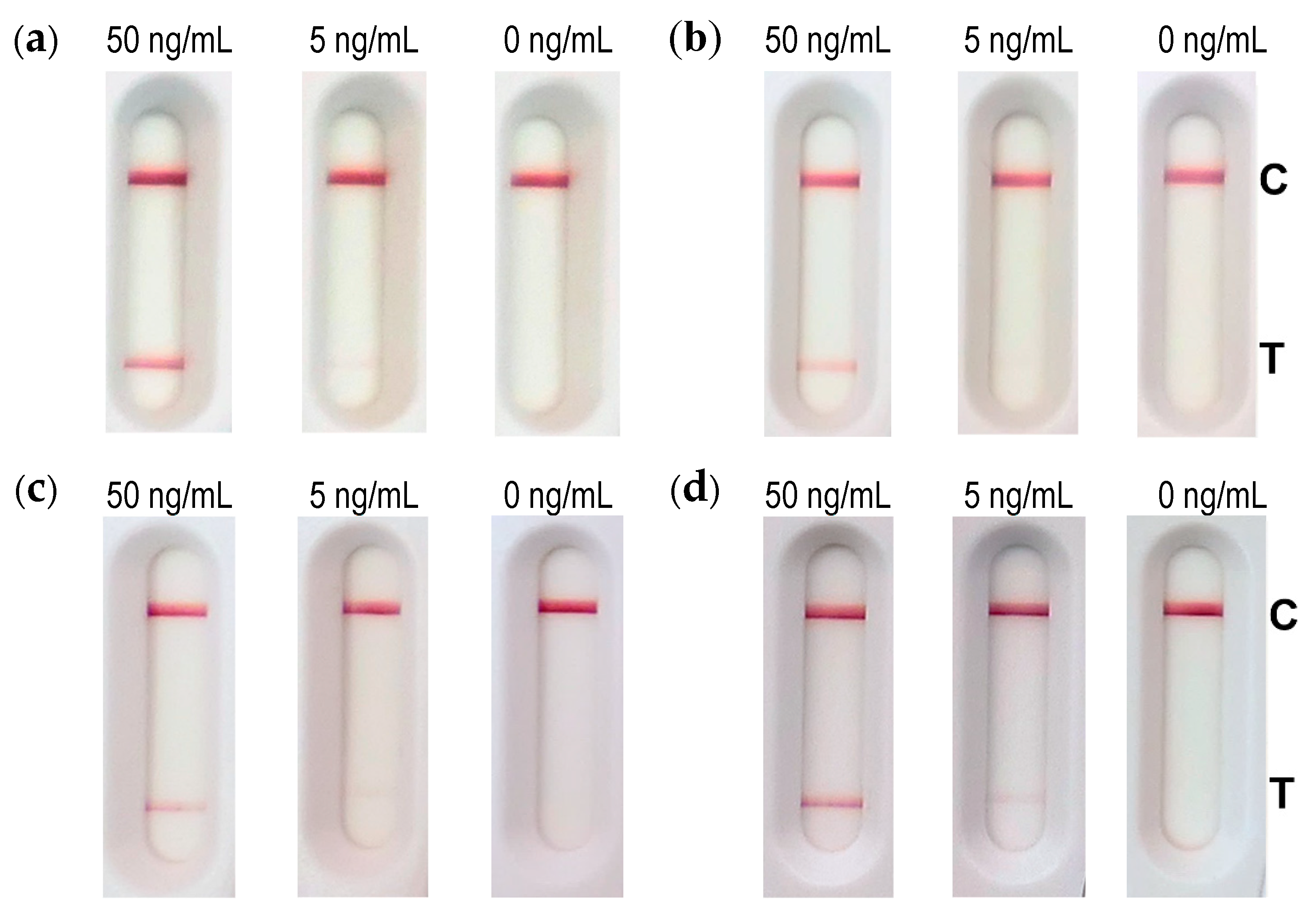 Toxins 13 00284 g006