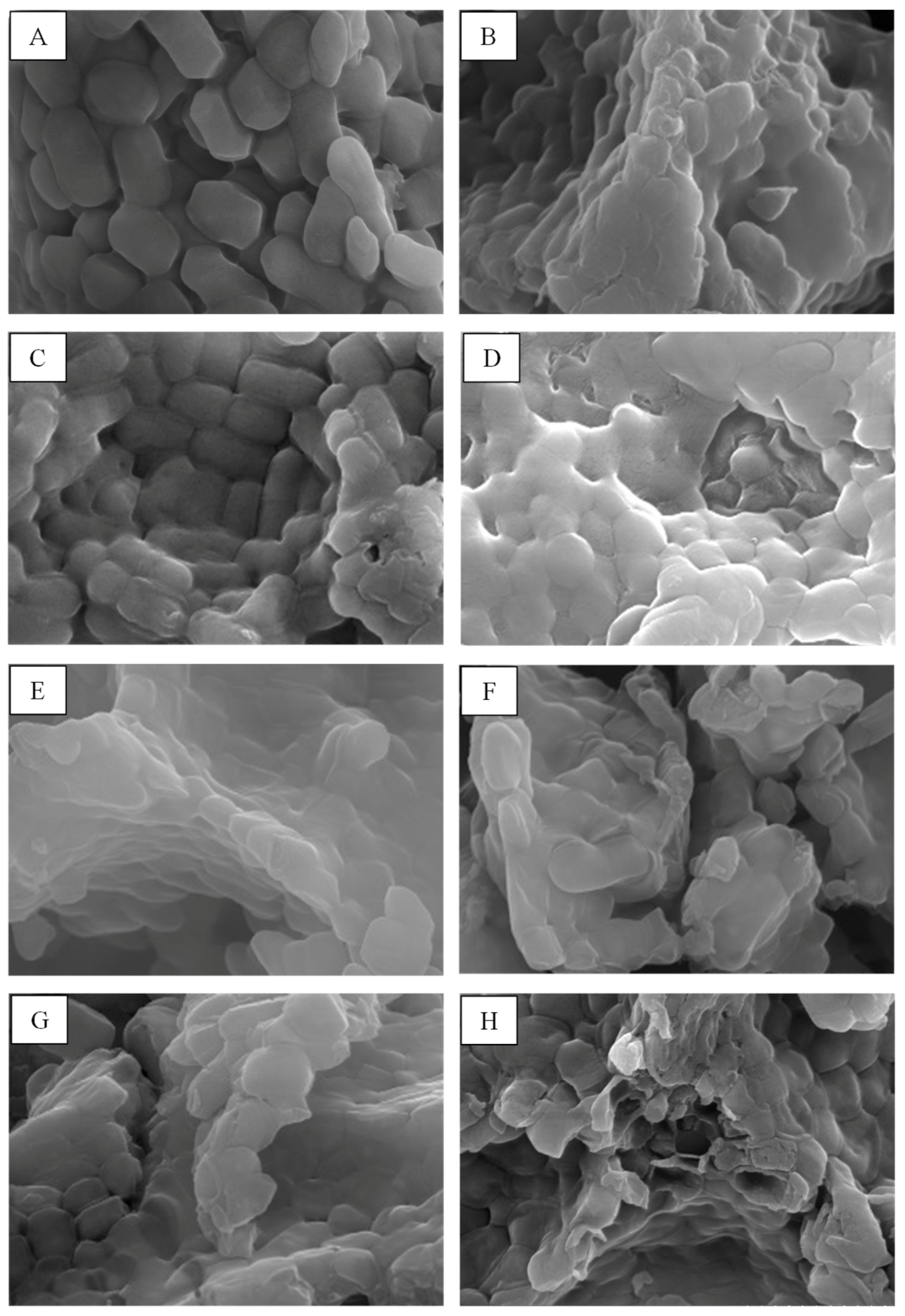Toxins 13 00286 g003
