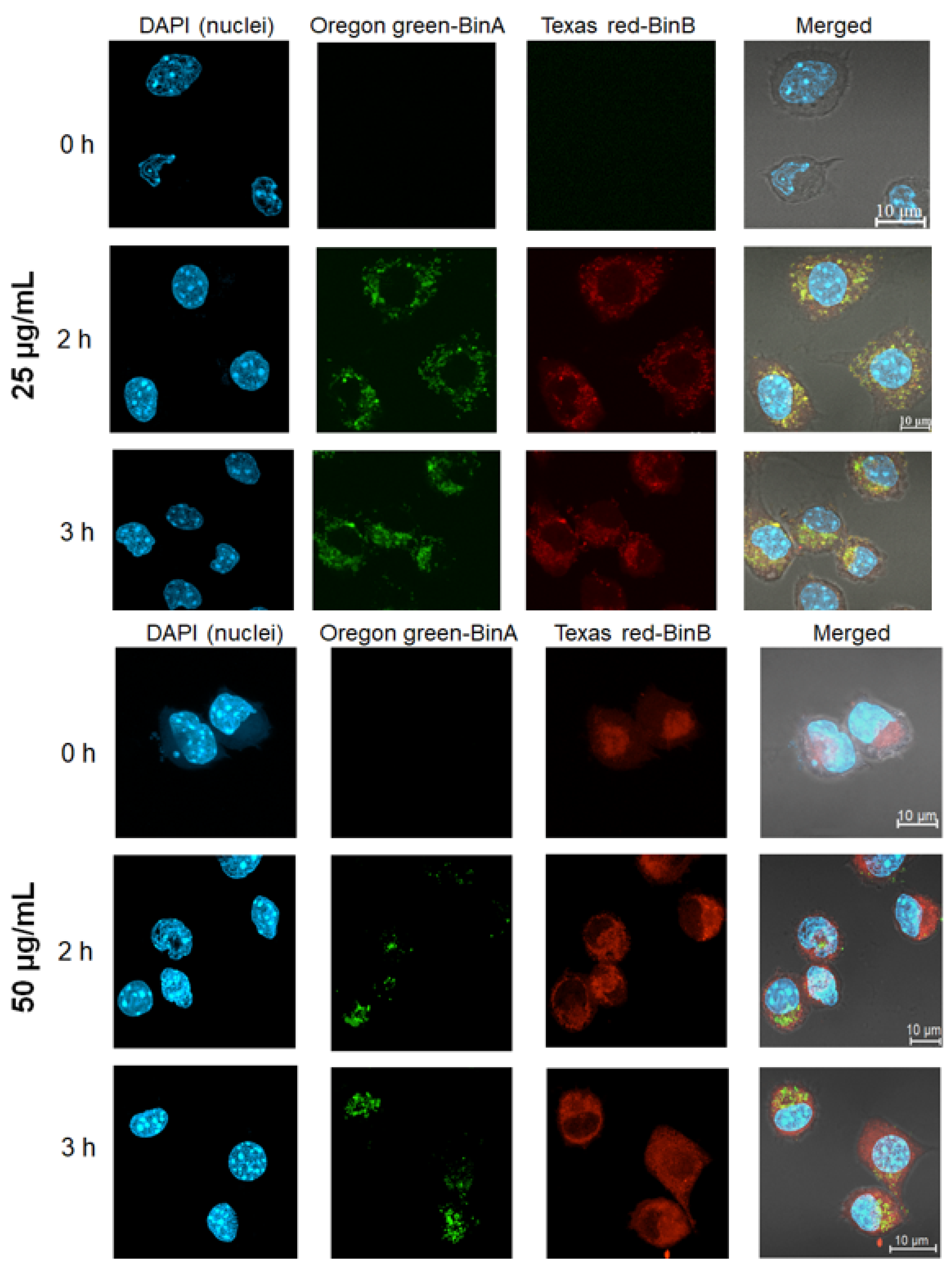 Toxins 13 00288 g006 Toxins 13 00288 g006