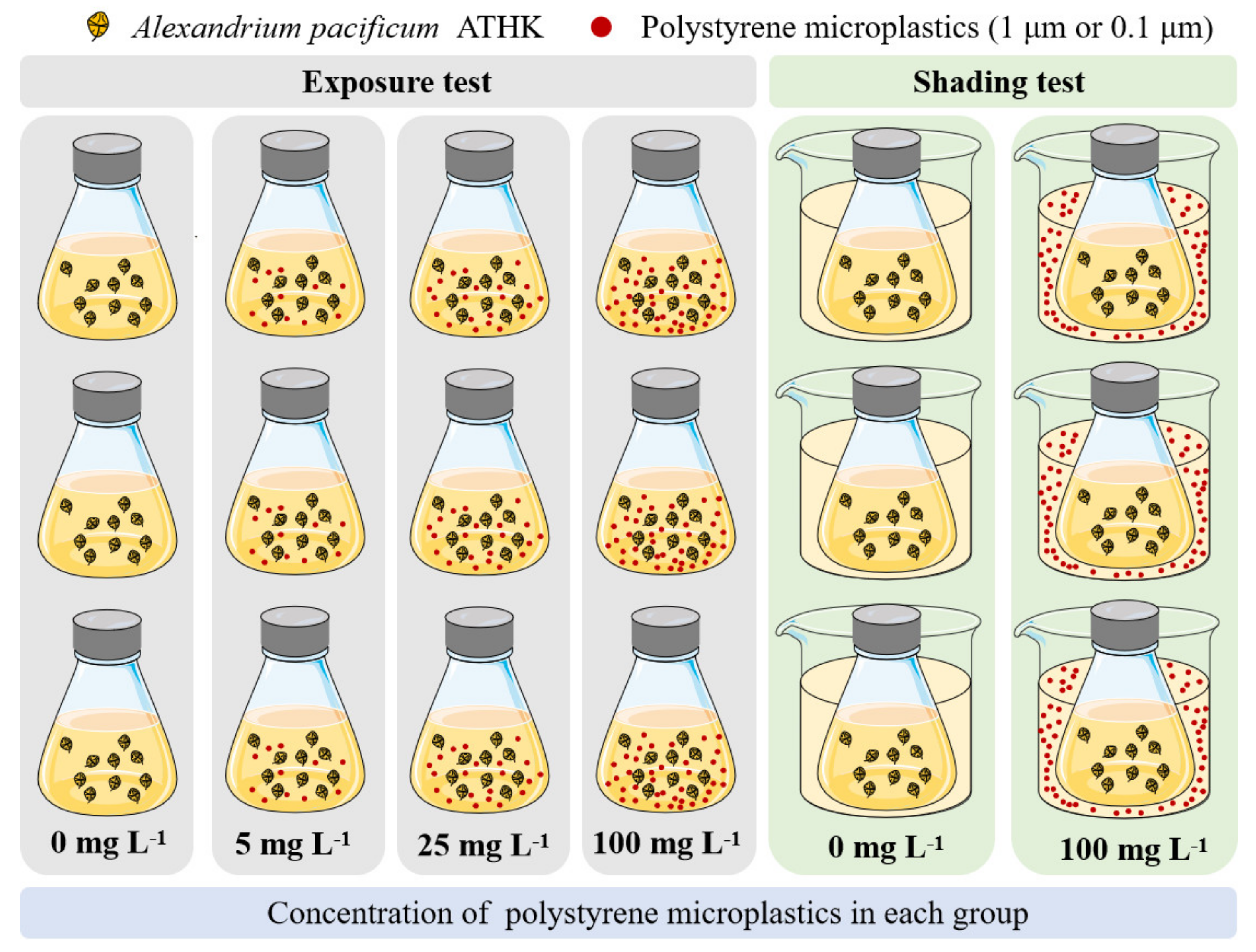 Toxins 13 00293 g001