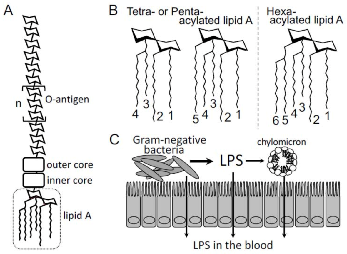 Toxins 13 00297 g001