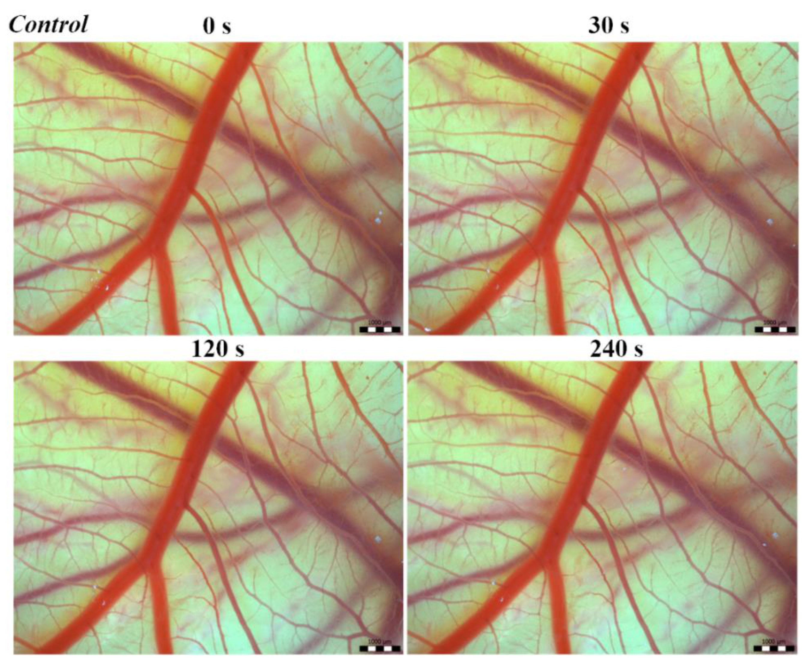 Toxins 13 00299 g001