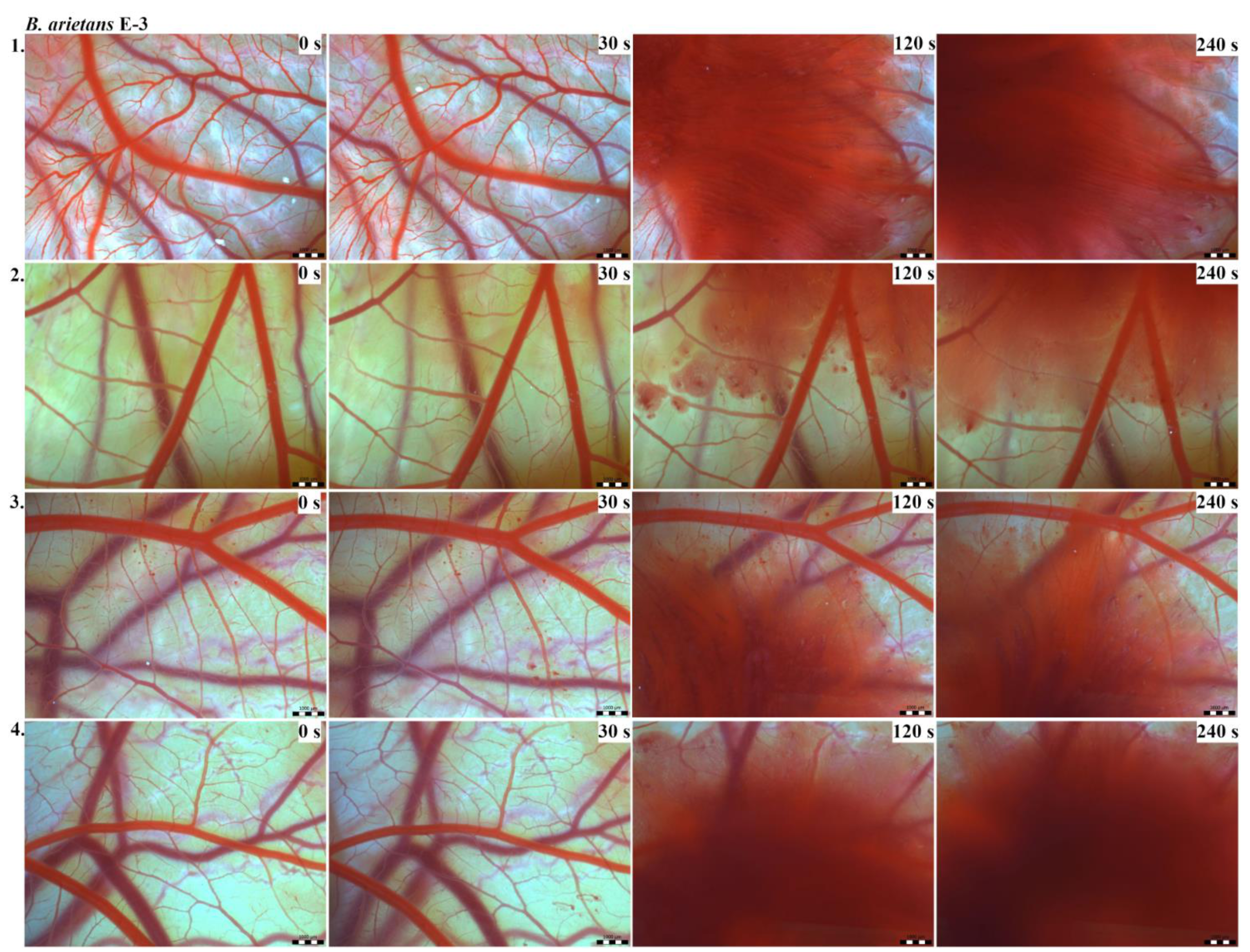 Toxins 13 00299 g007