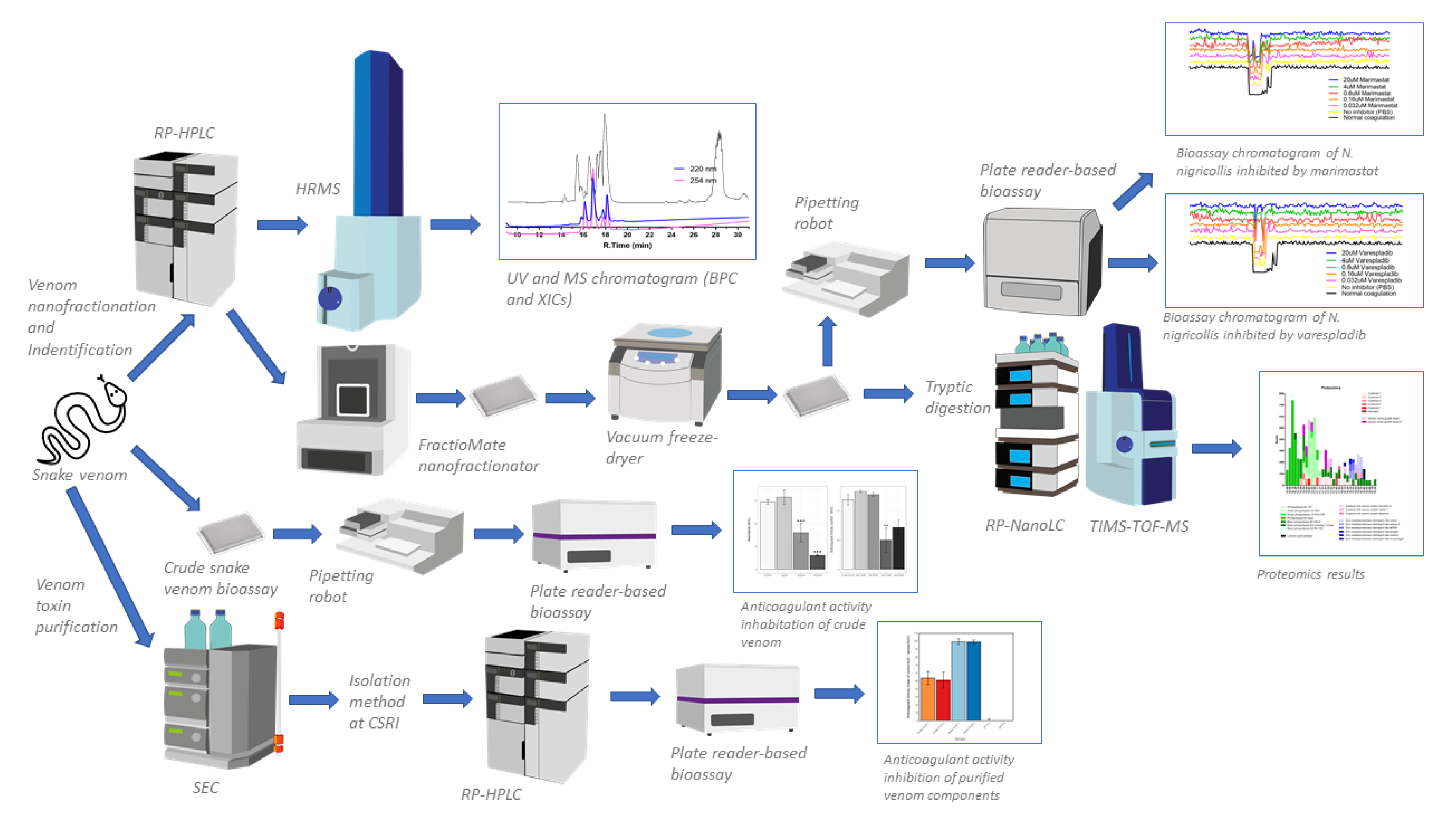 Toxins 13 00302 g001