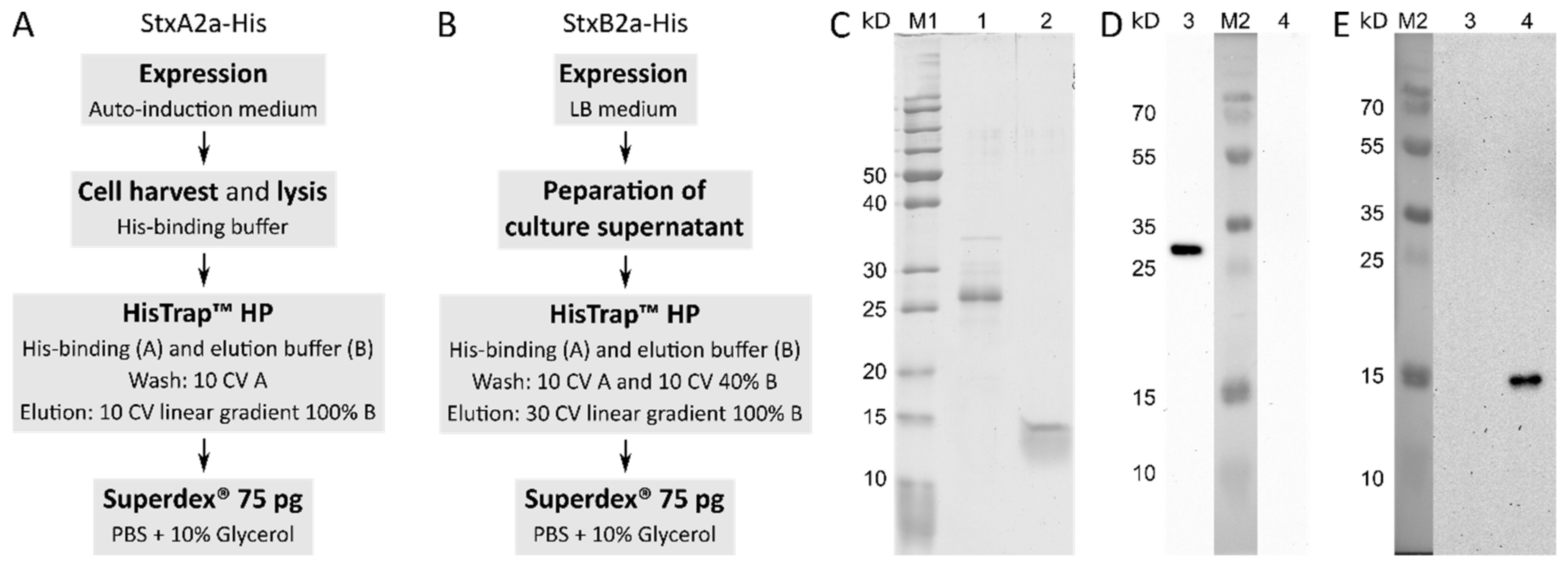Toxins 13 00307 g001