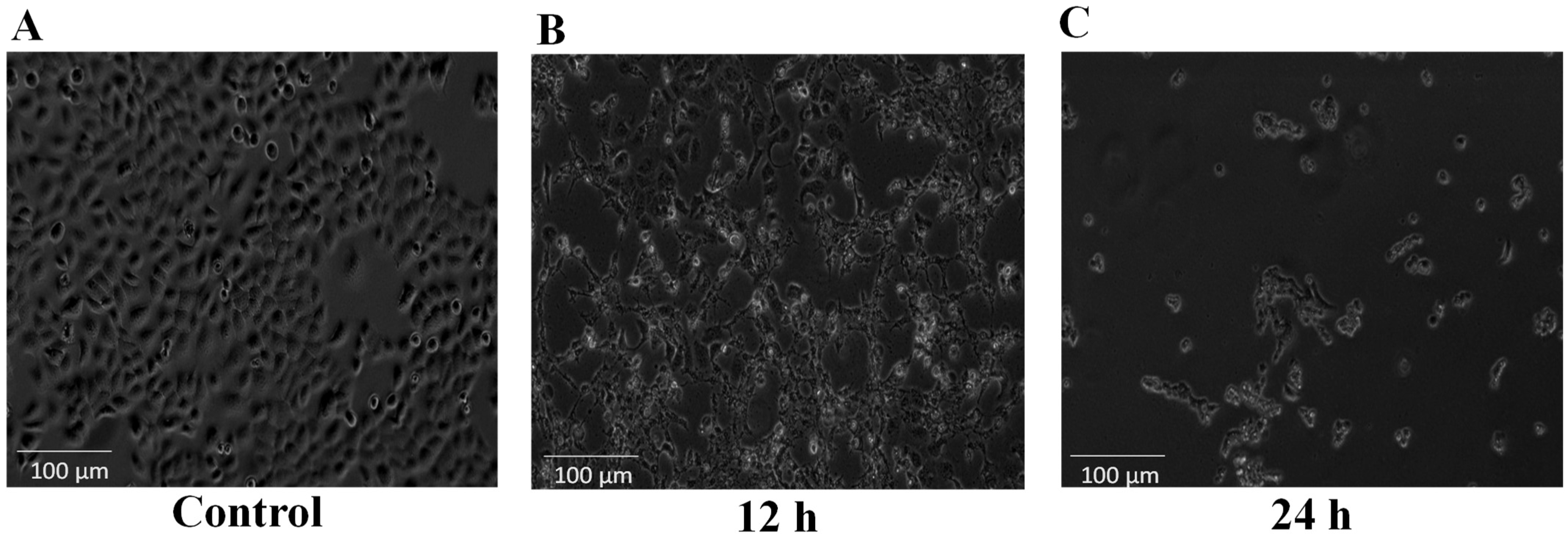 Toxins 13 00311 g002