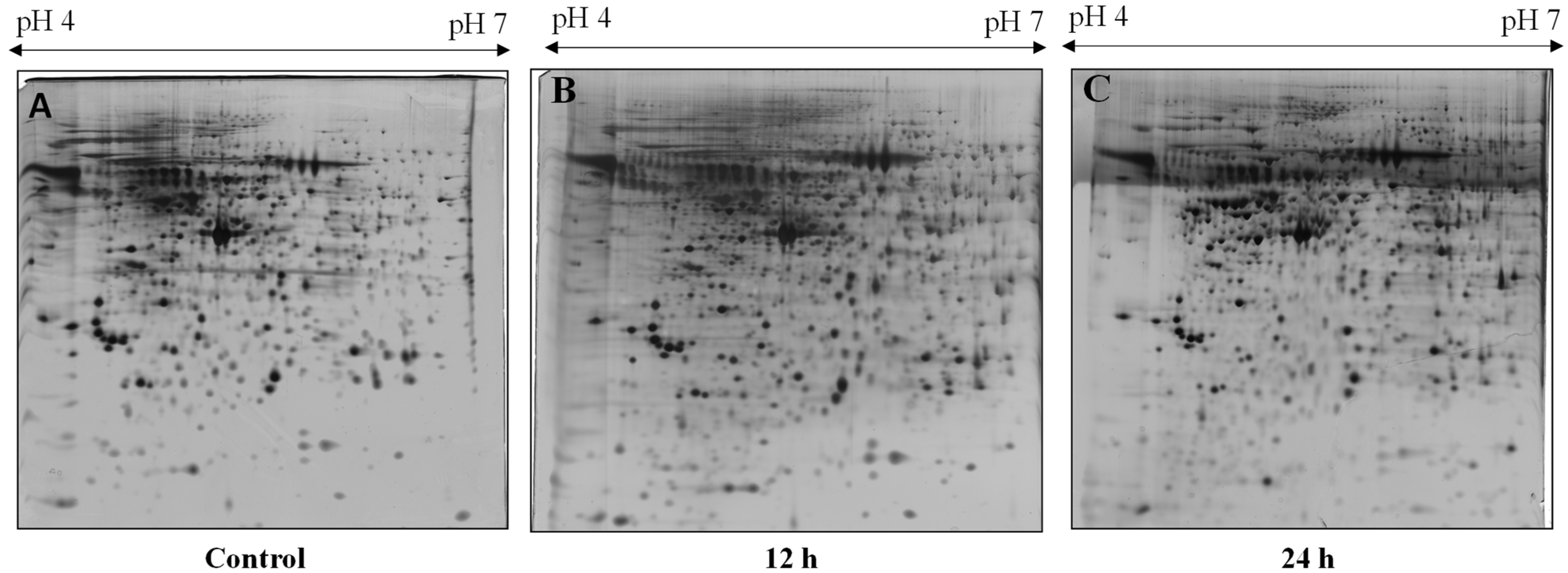 Toxins 13 00311 g004