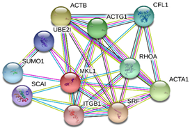 Toxins 13 00311 i006