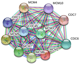 Toxins 13 00311 i009