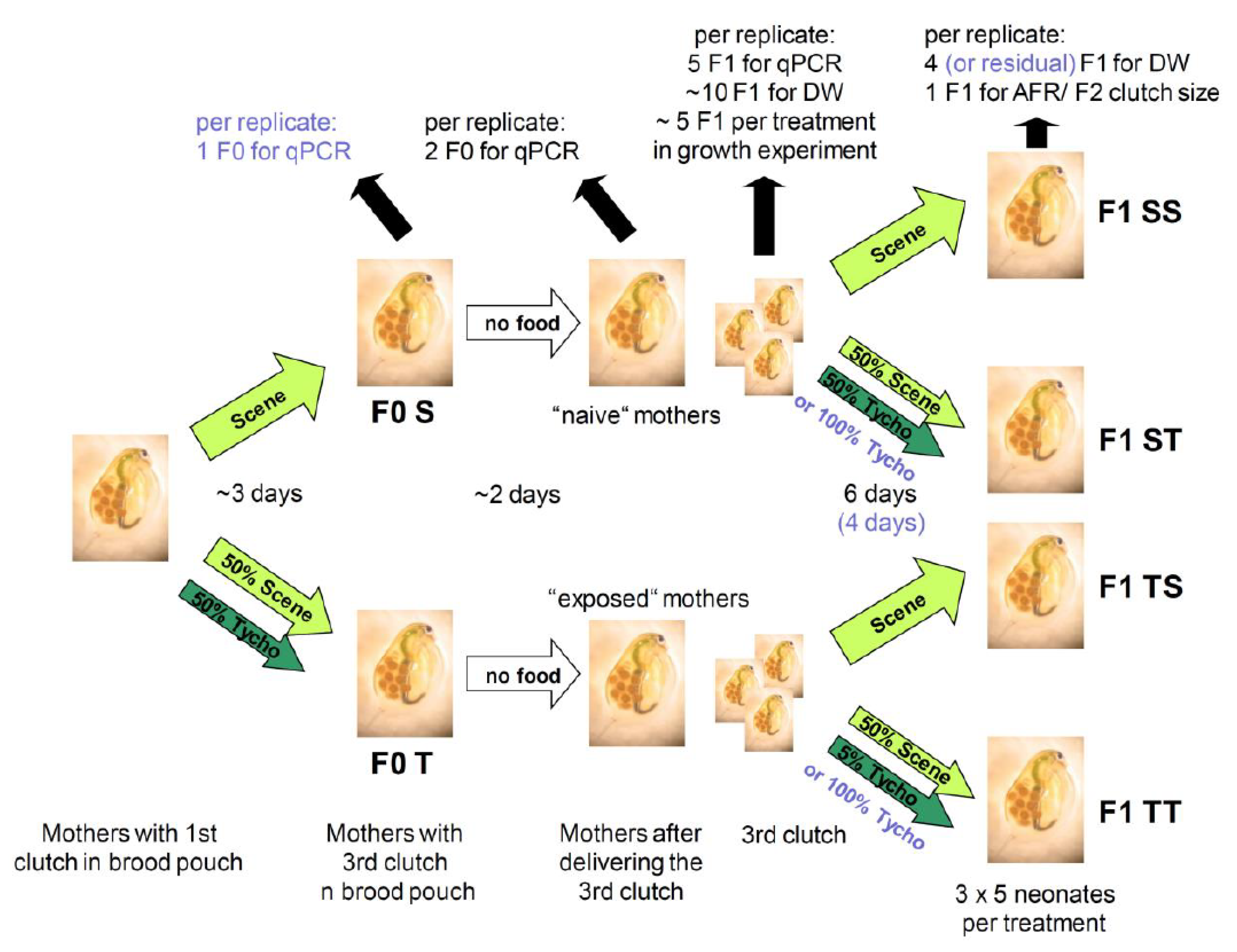Toxins 13 00326 g005