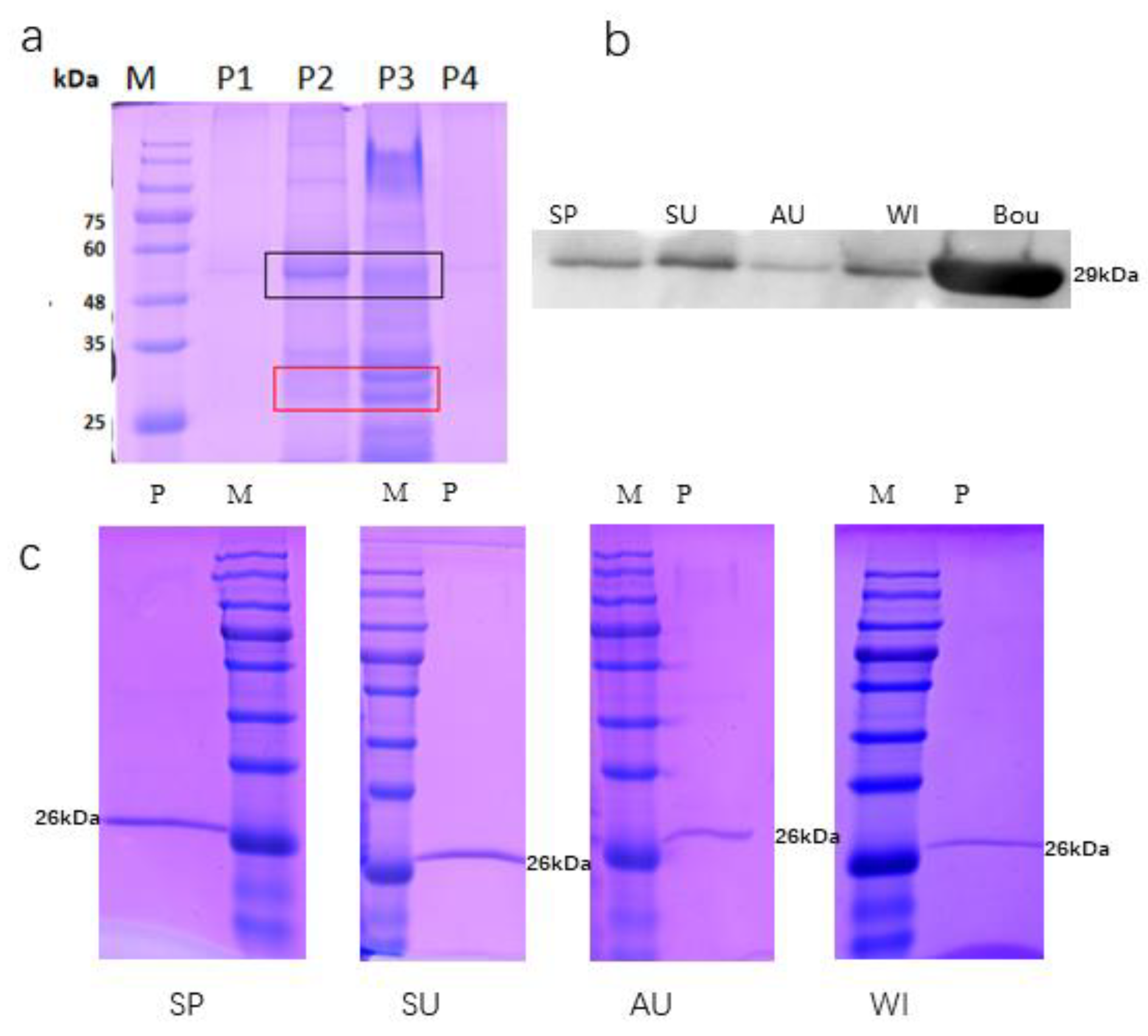 Toxins 13 00331 g002