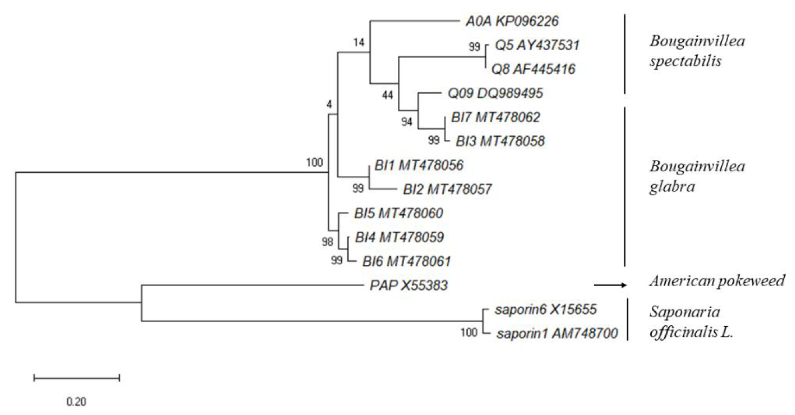 Toxins 13 00331 g003