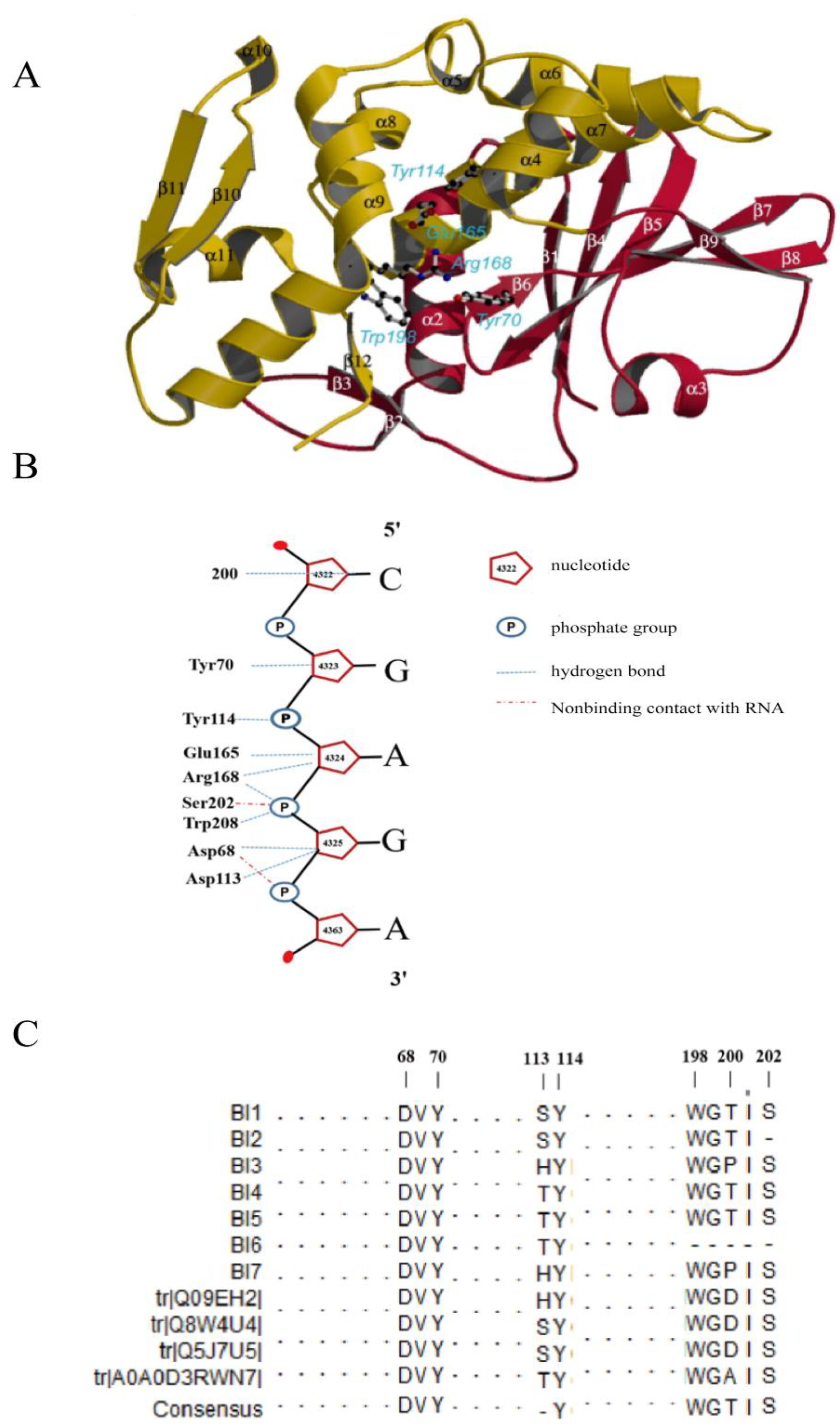 Toxins 13 00331 g005