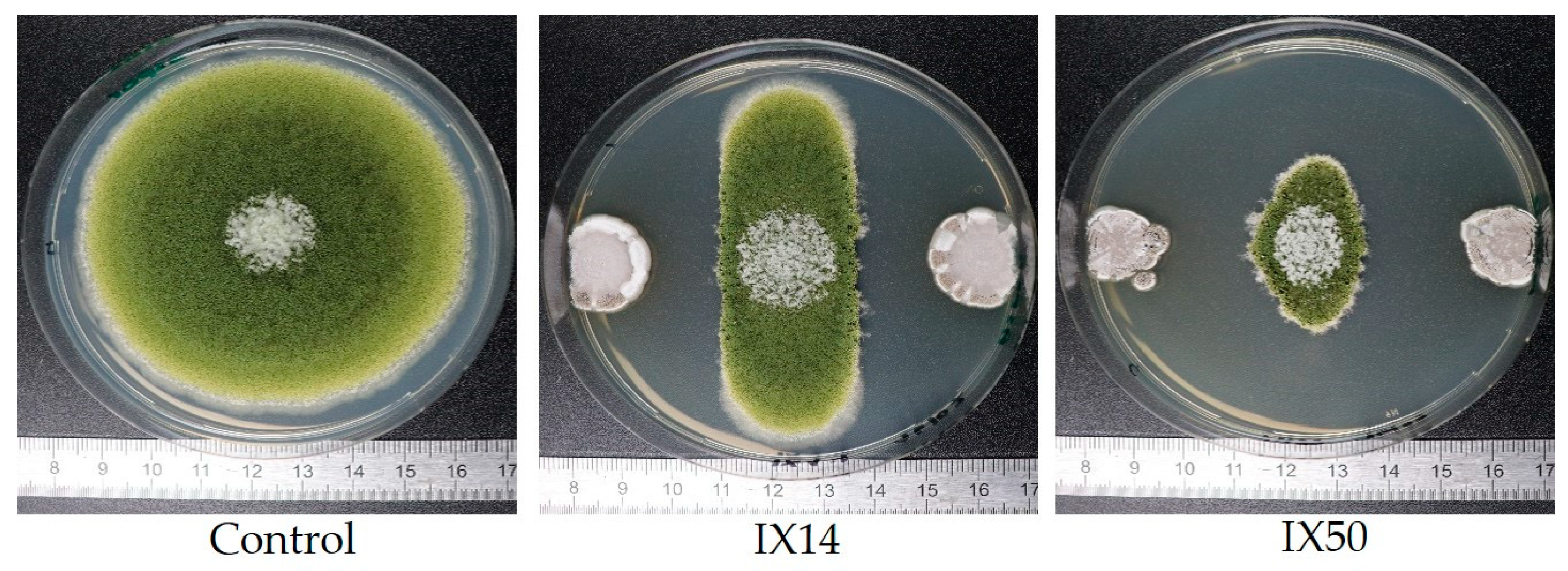 Toxins 13 00340 g002
