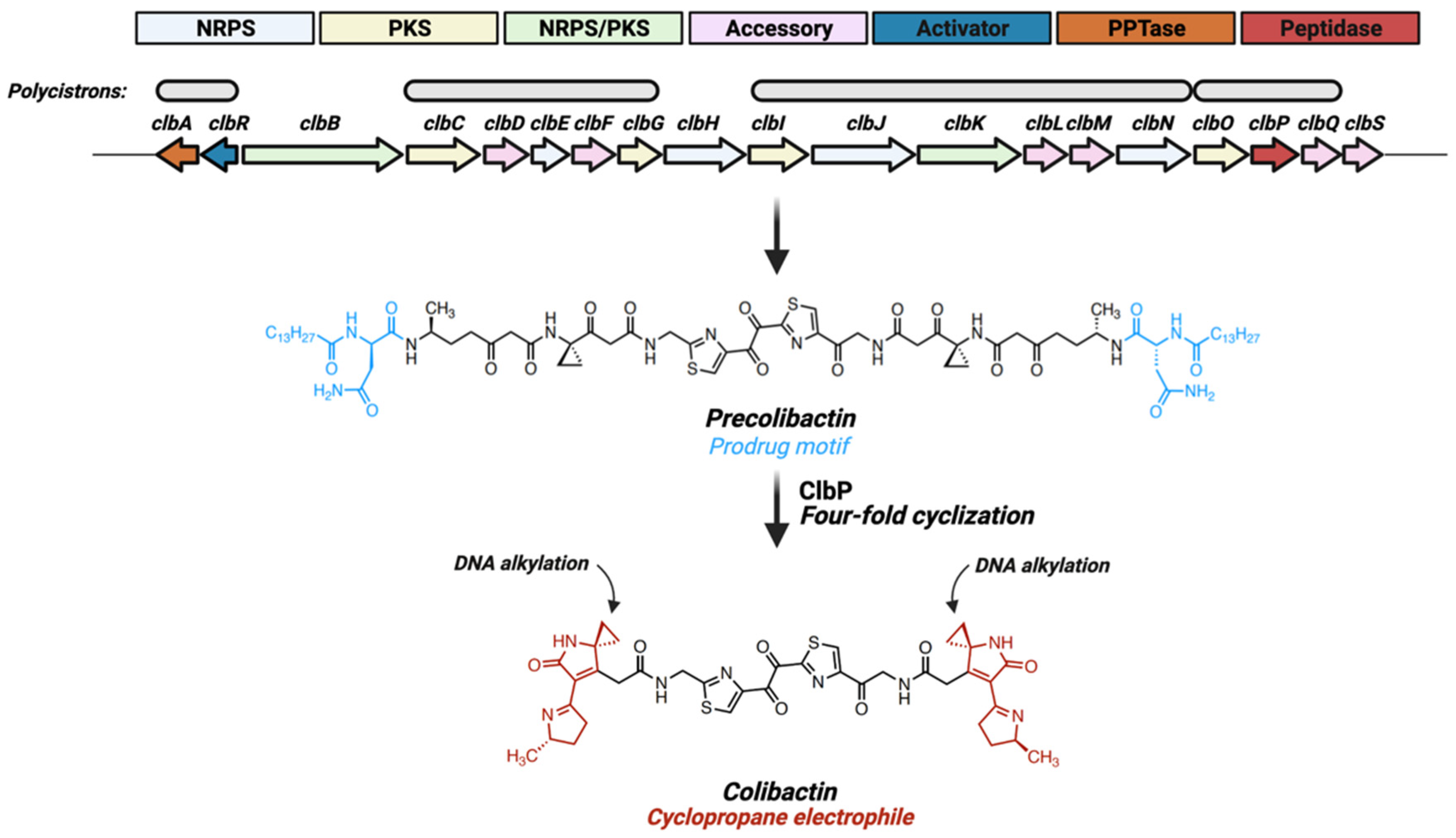 Toxins 13 00346 g001