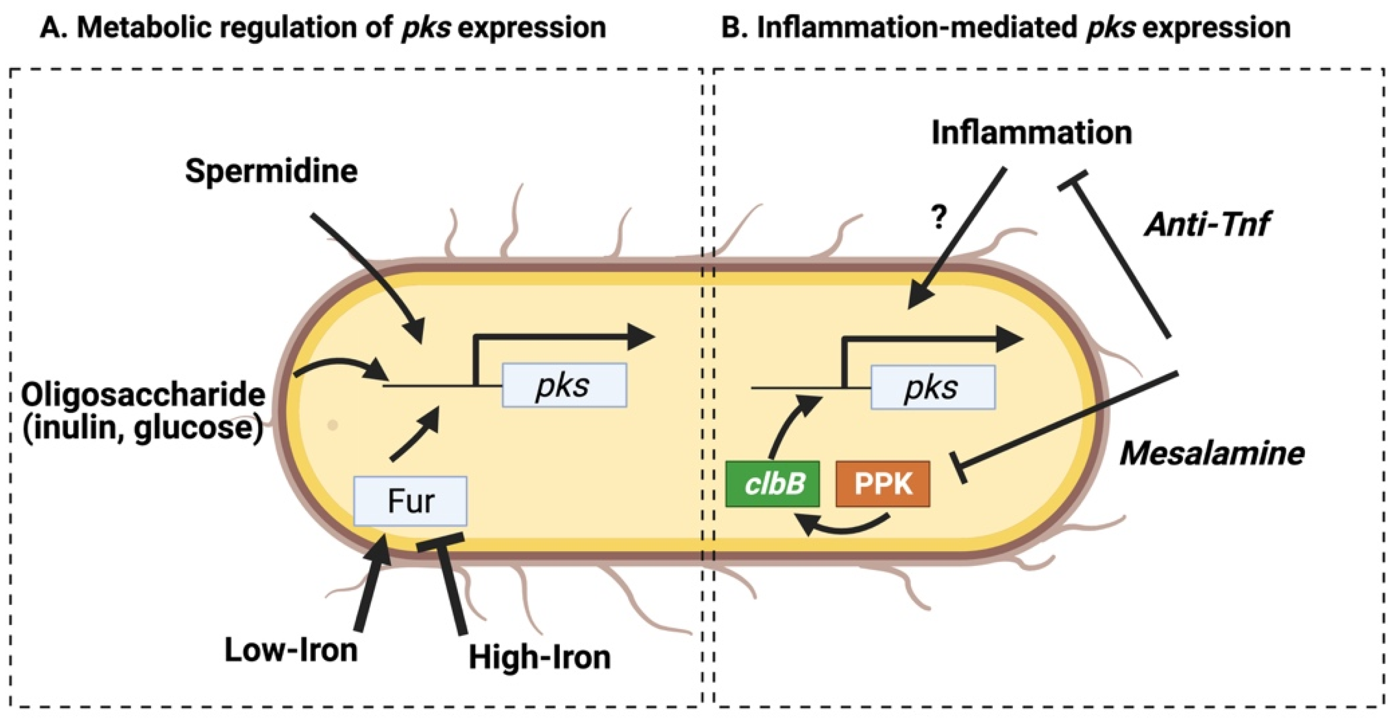 Toxins 13 00346 g003
