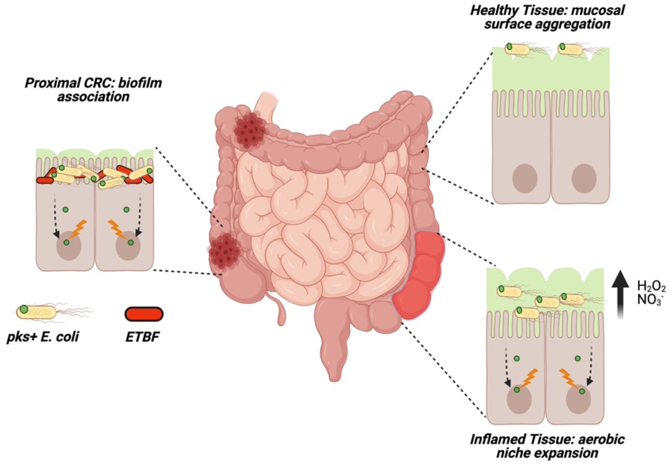 Toxins 13 00346 g004