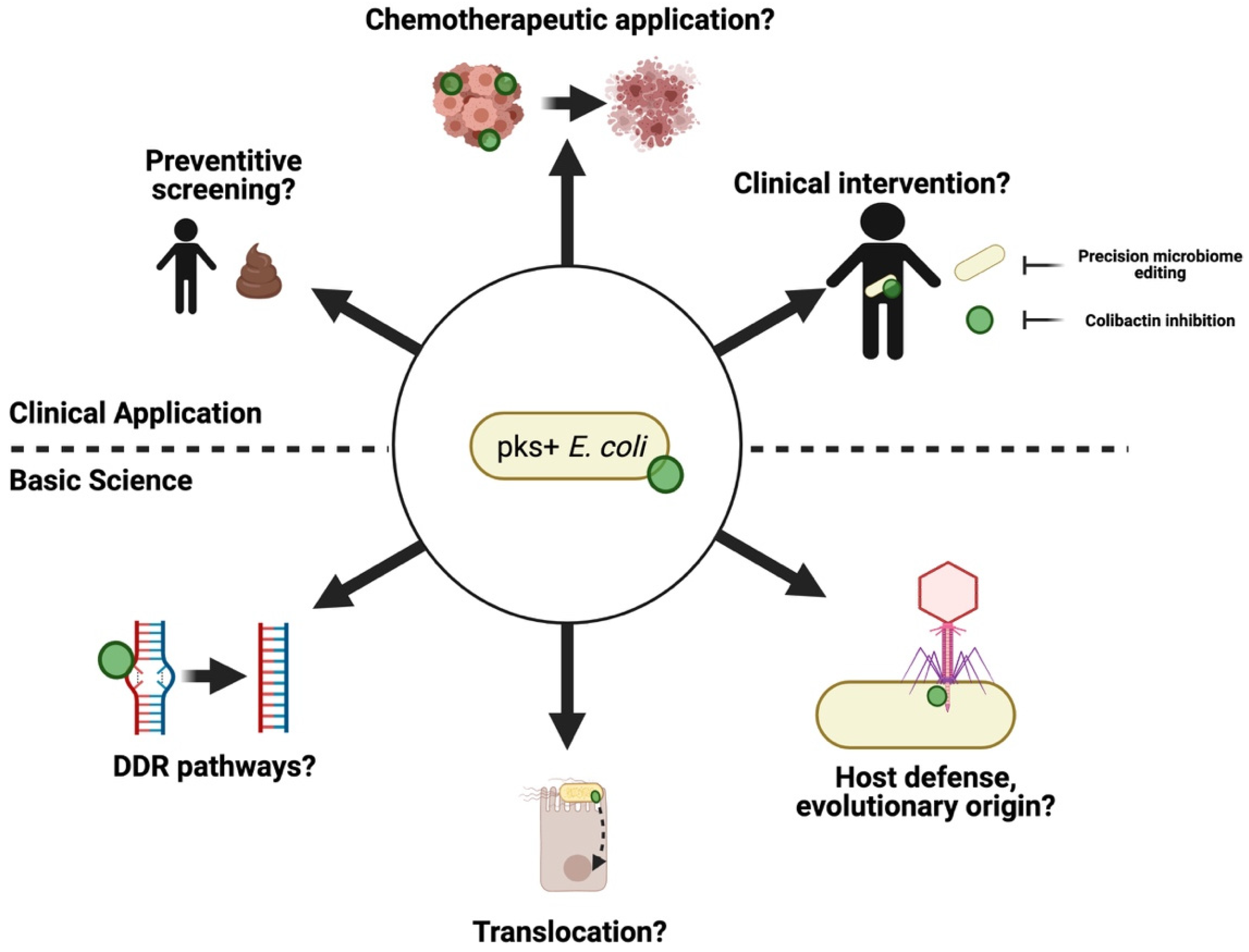 Toxins 13 00346 g005