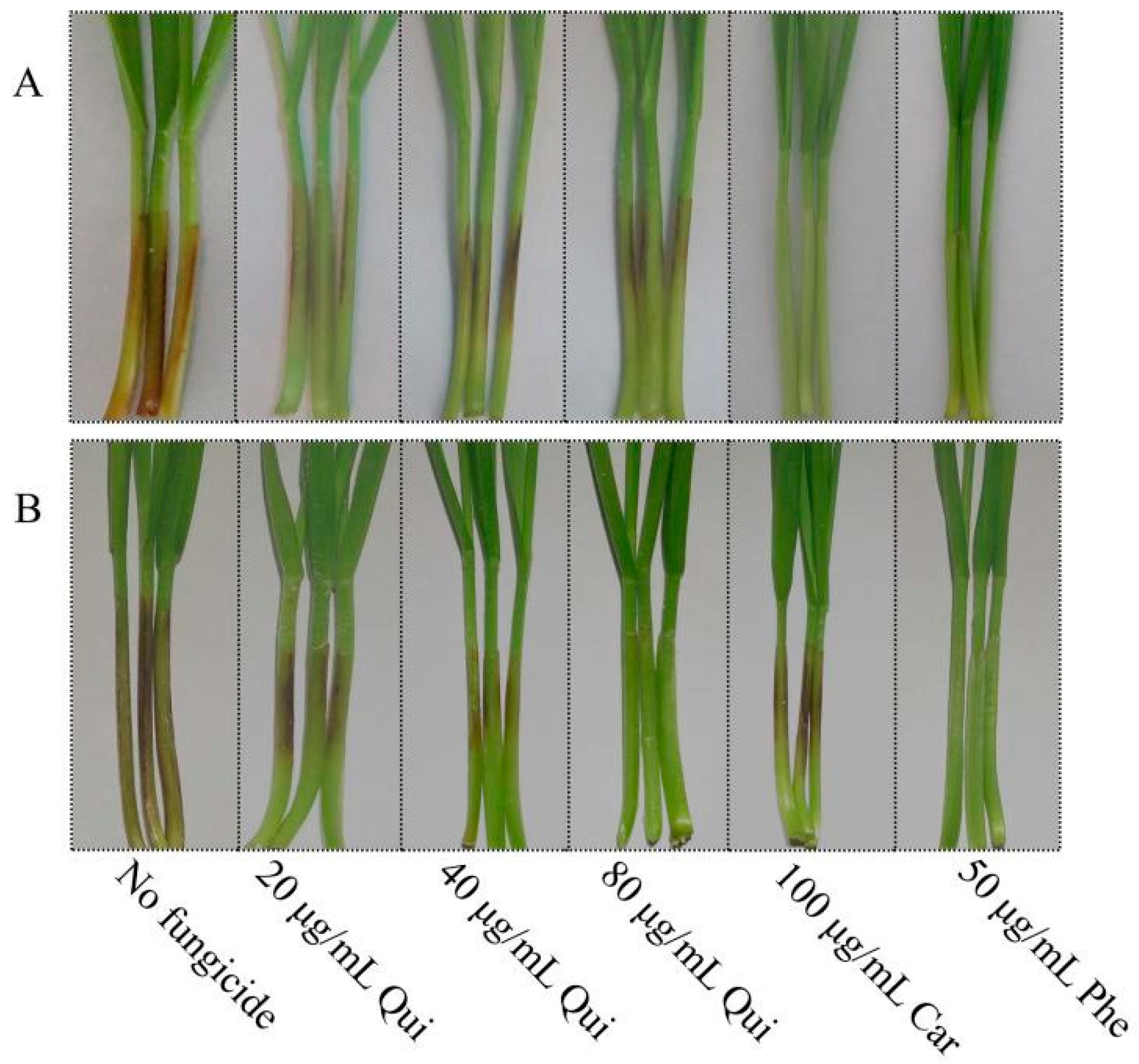 Toxins 13 00348 g005