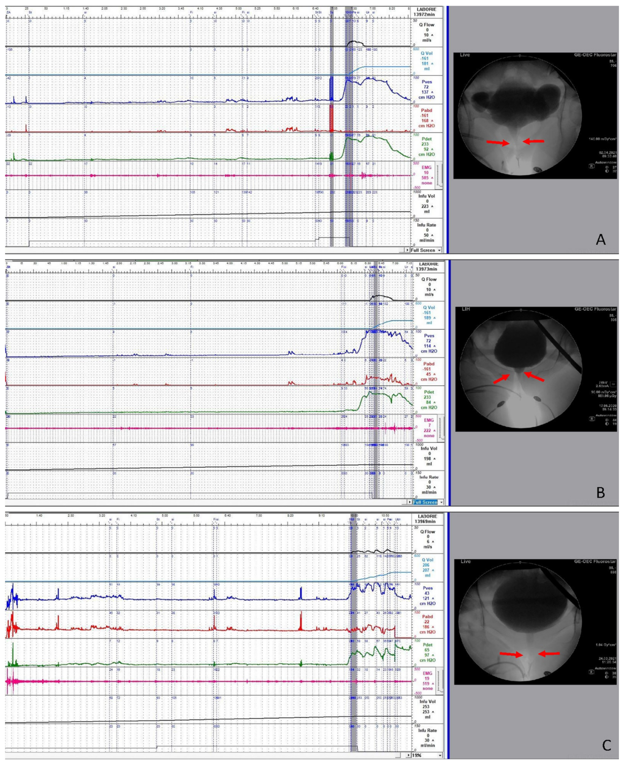 Toxins 13 00362 g001