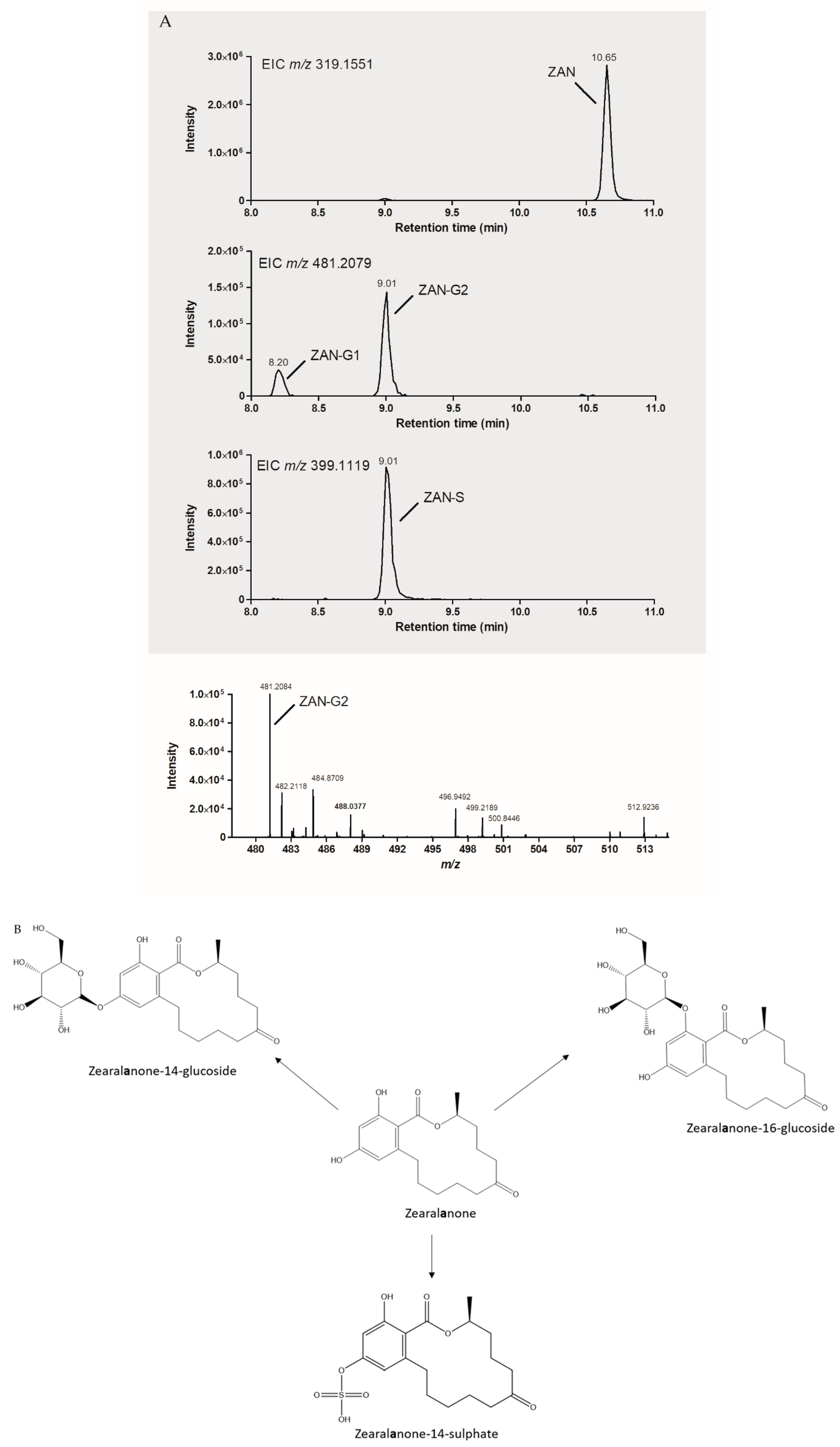Toxins 13 00366 g003